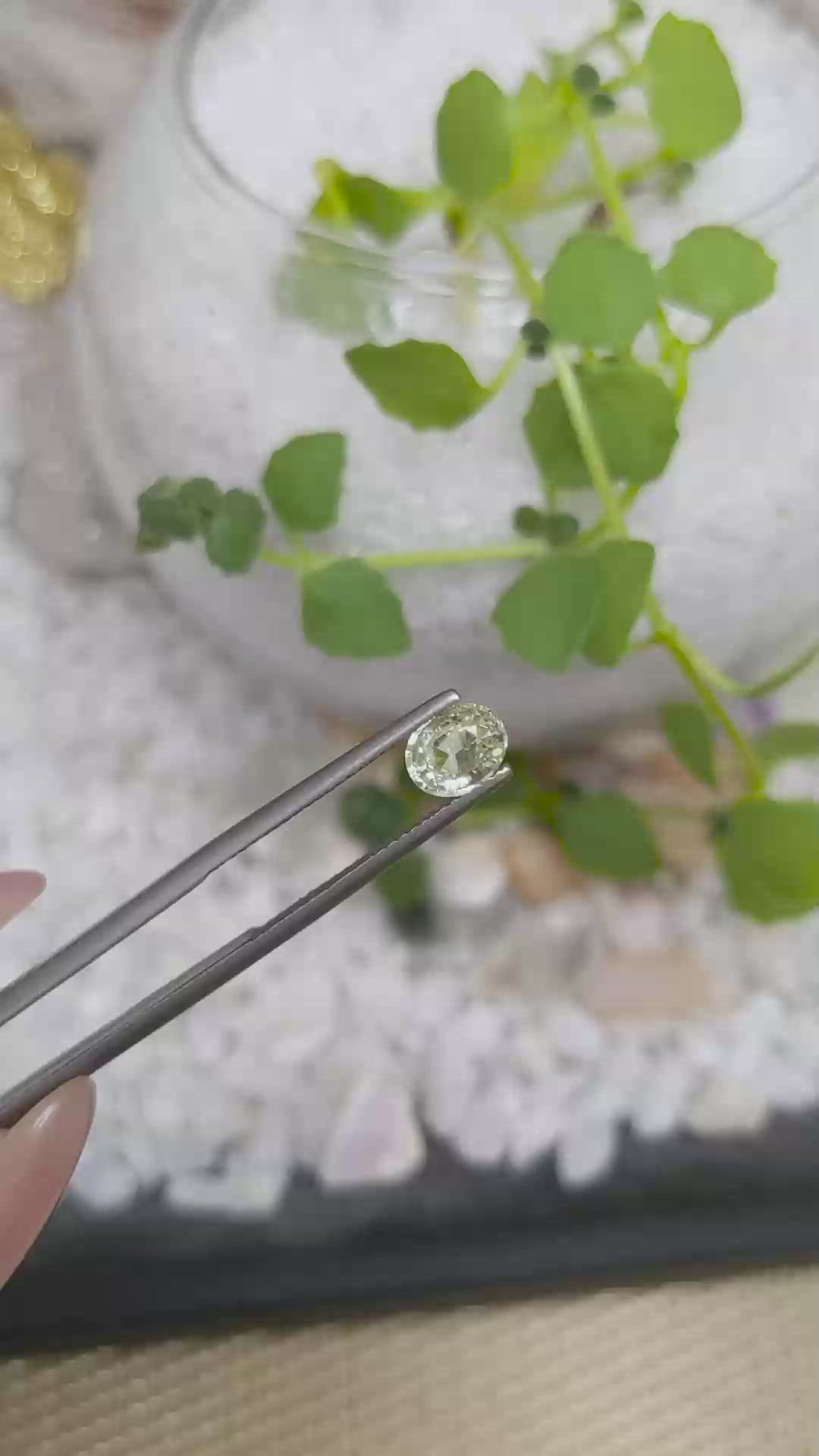 1.07 Ct. Yellowish Green Sapphire from Ceylon (Sri Lanka) Size Video