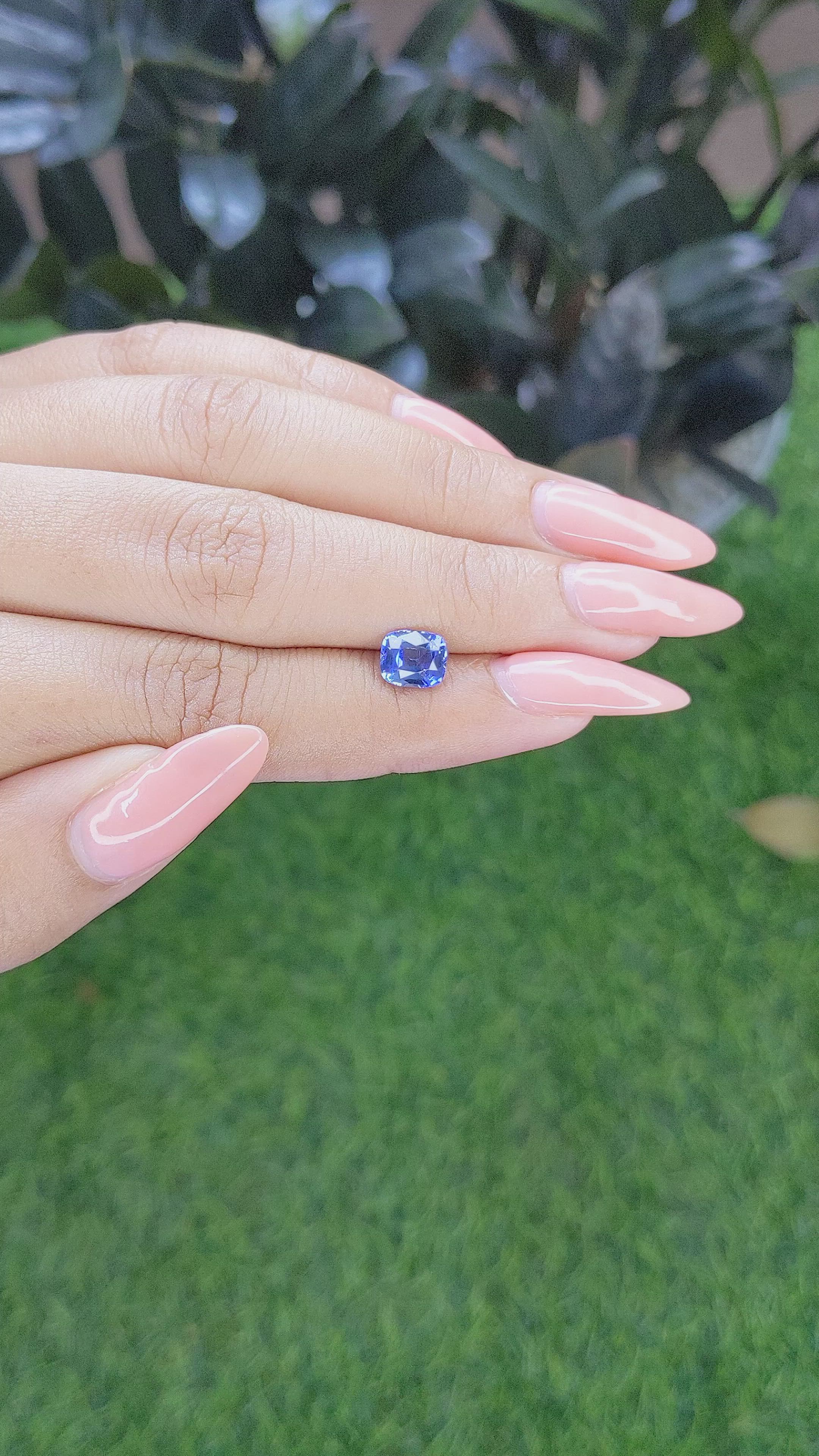 1.55 Ct. Blue Sapphire from Ceylon (Sri Lanka) Size Video