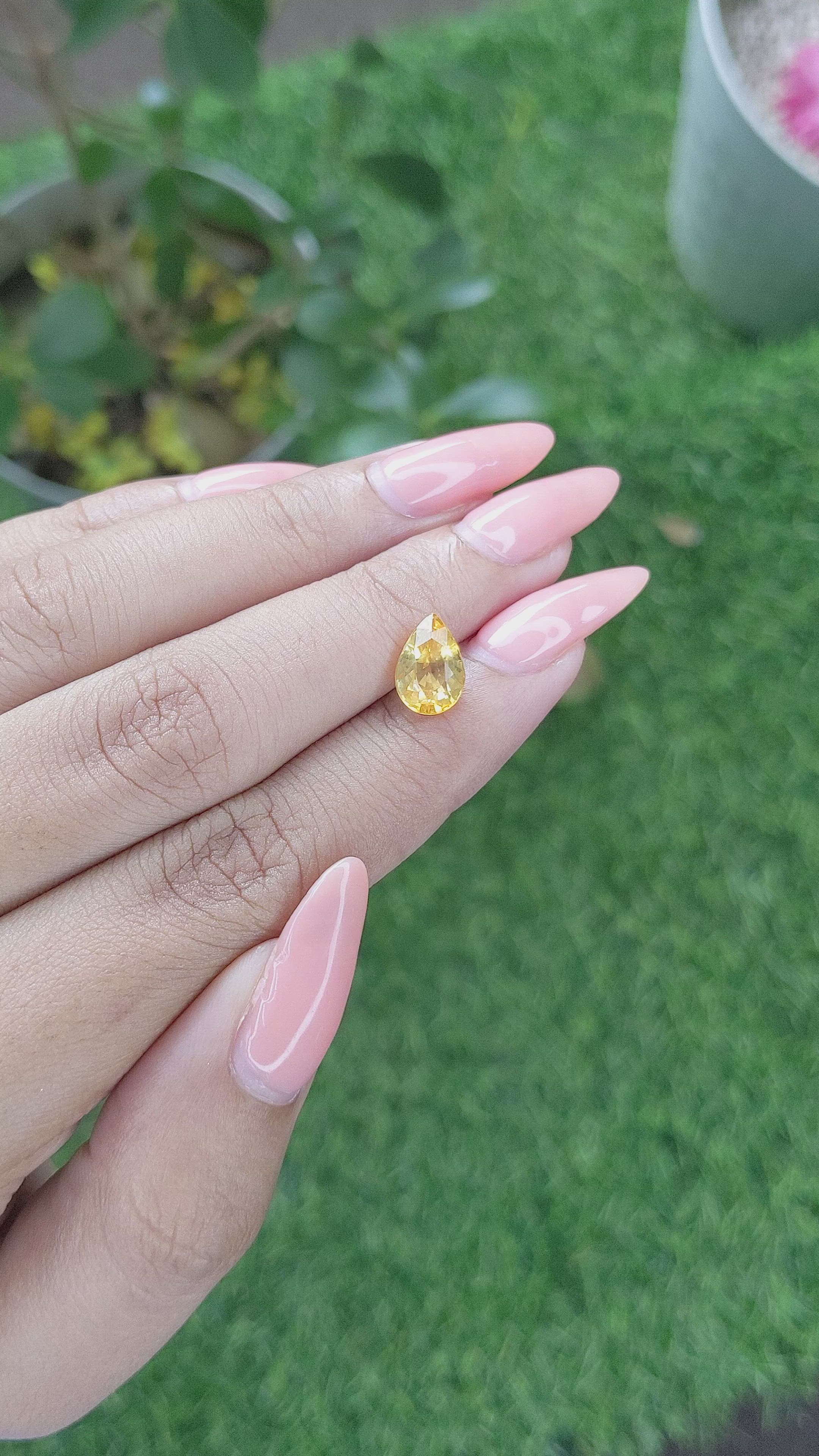 2.57 Ct. Yellow Sapphire from Ceylon (Sri Lanka) Size Video