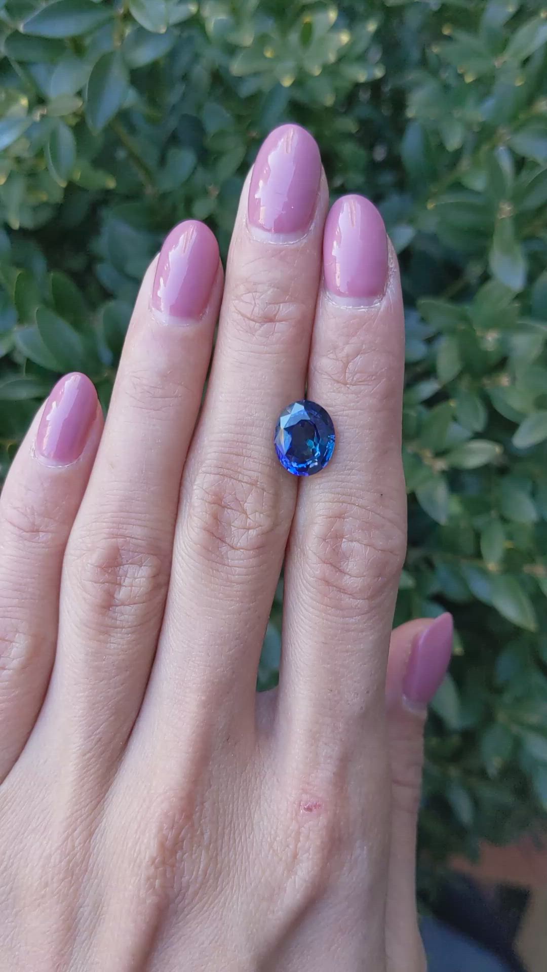 1.42 Ct. Blue Sapphire from Ceylon (Sri Lanka) Size Video