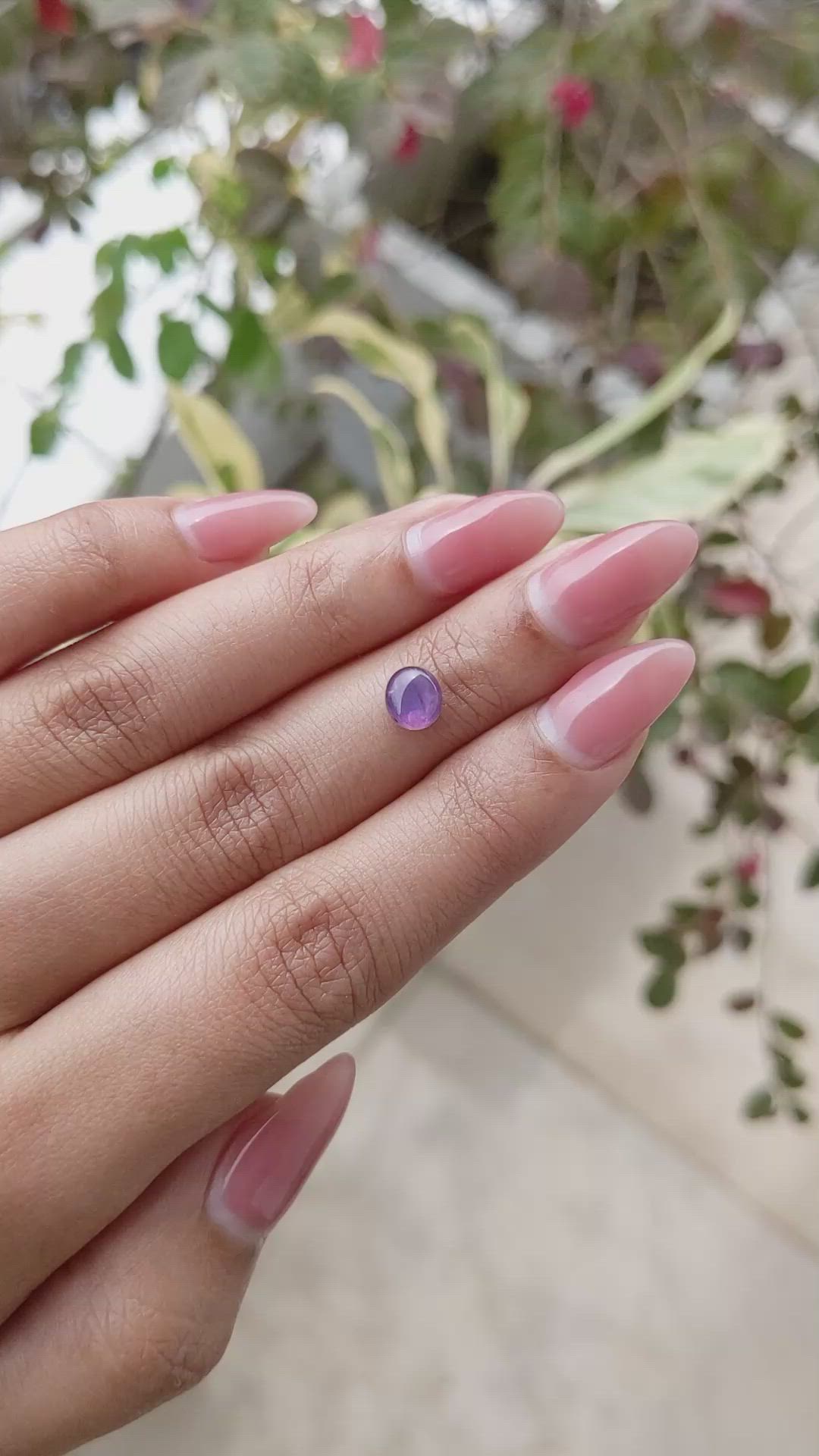 1.36 Ct. Purple Star Sapphire from Ceylon (Sri Lanka) Size Video