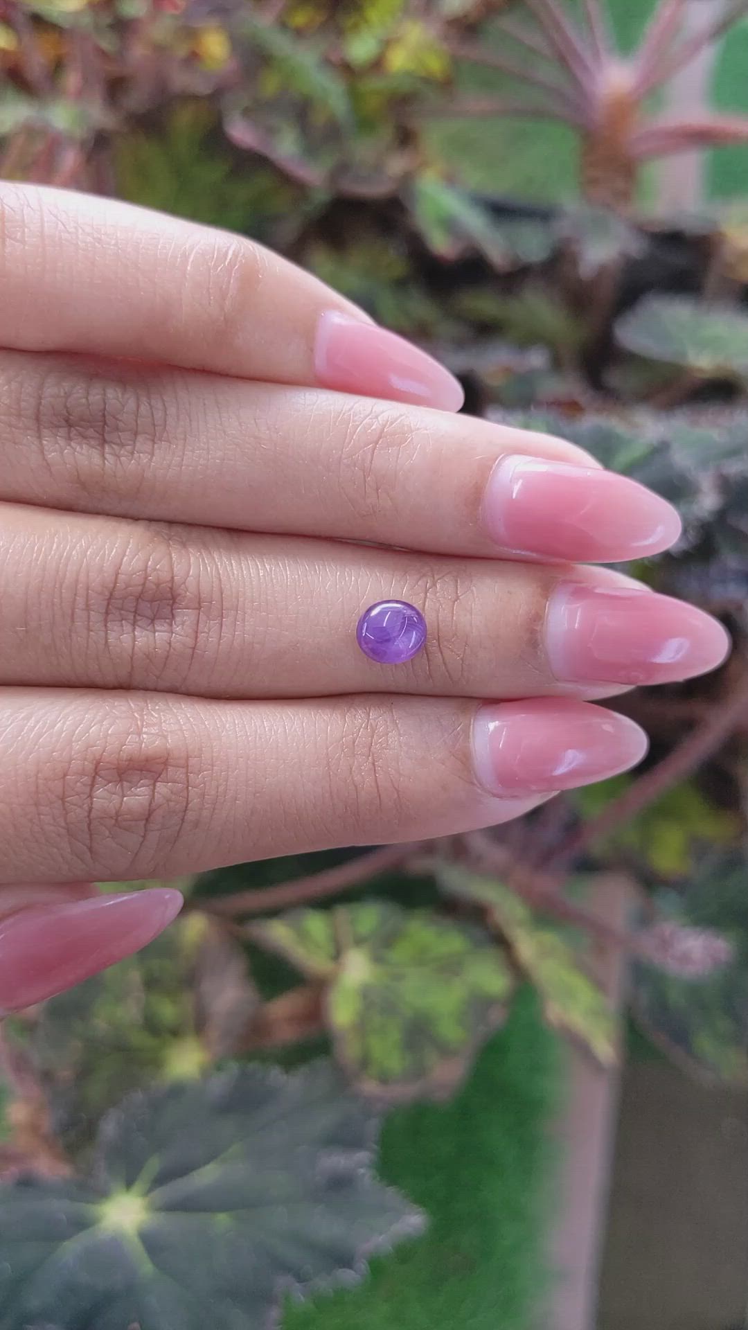 1.36 Ct. Purple Star Sapphire from Ceylon (Sri Lanka) Size Video