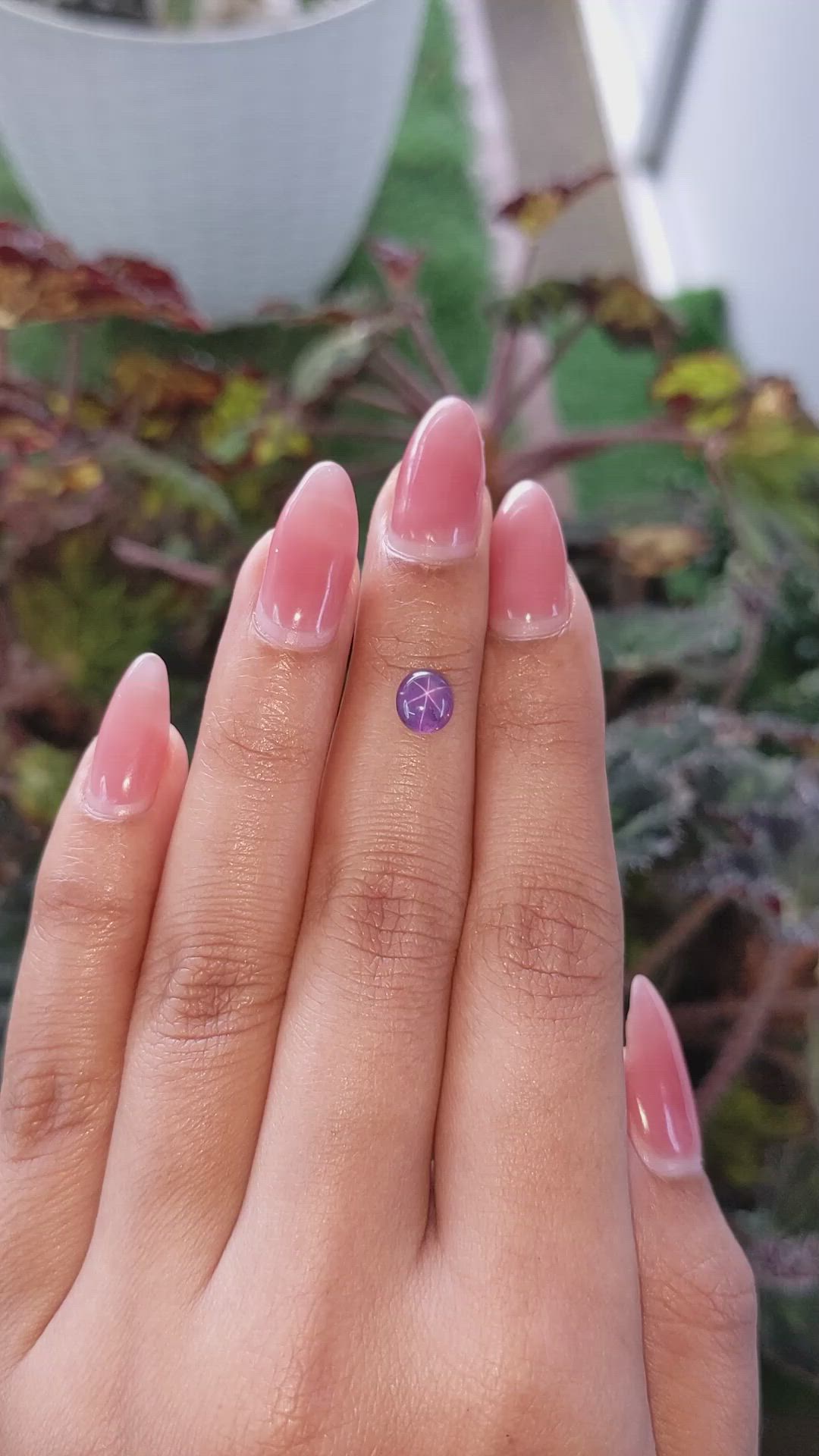 1.36 Ct. Purple Star Sapphire from Ceylon (Sri Lanka) Size Video