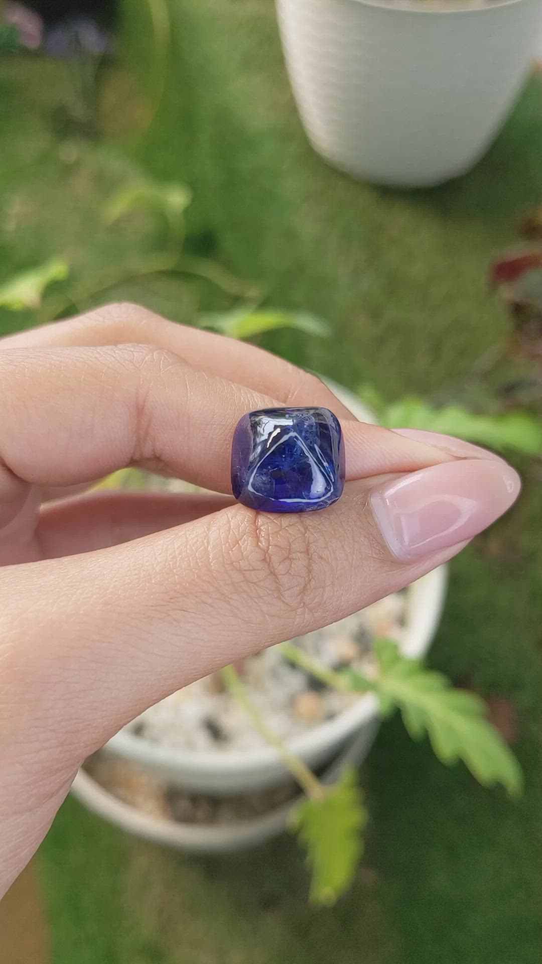 19.50 Ct. Blue Cabochon Sapphire from Ceylon (Sri Lanka) Size Video