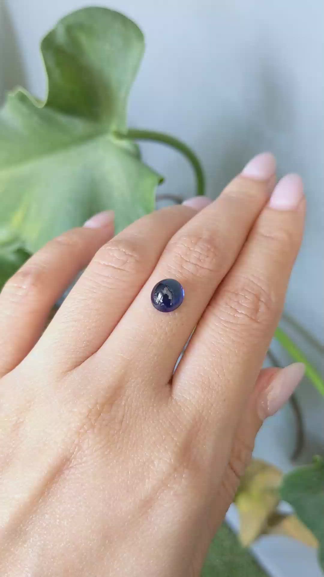 3.73 Ct. Blue Cabochon Sapphire from Ceylon (Sri Lanka) Size Video