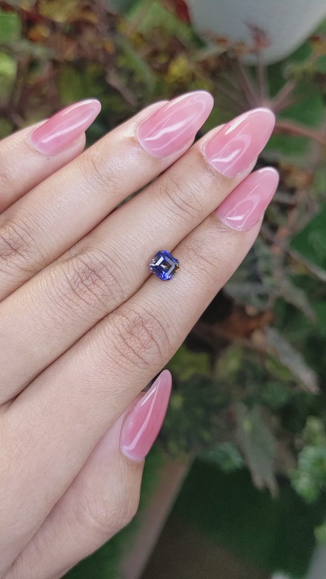 1.27 Ct. Bi Color Sapphire from Ceylon (Sri Lanka) Size Video