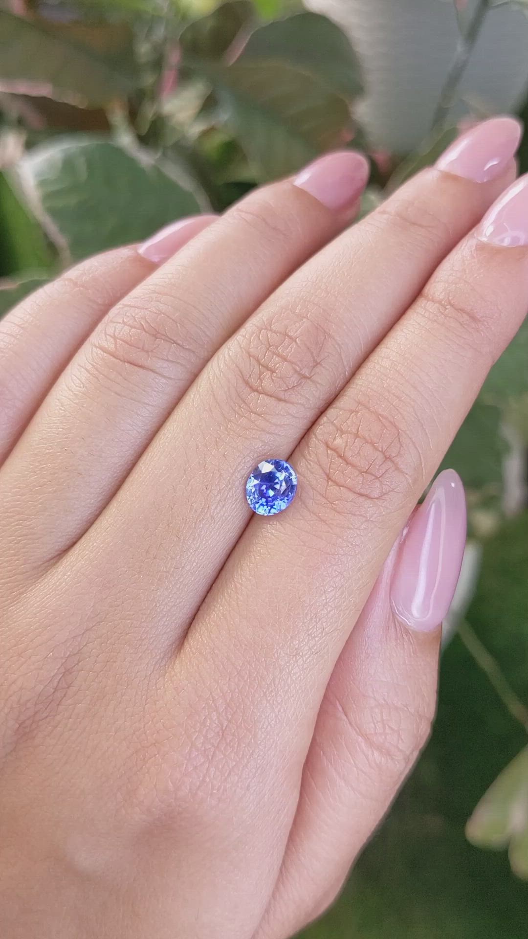 1.62 Ct. Blue Sapphire from Ceylon (Sri Lanka) Size Video