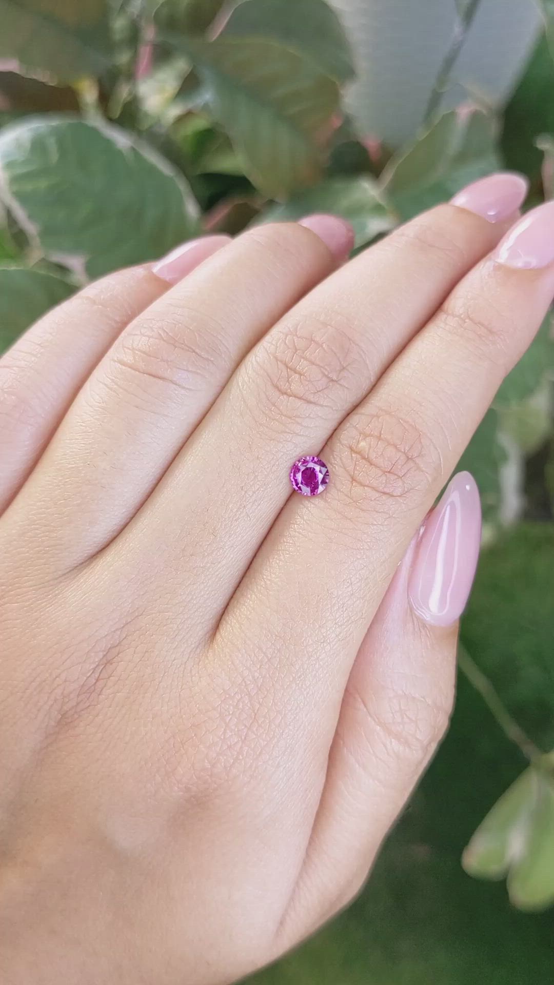 0.57 Ct. Purplish Pink Sapphire from Ceylon (Sri Lanka) Size Video