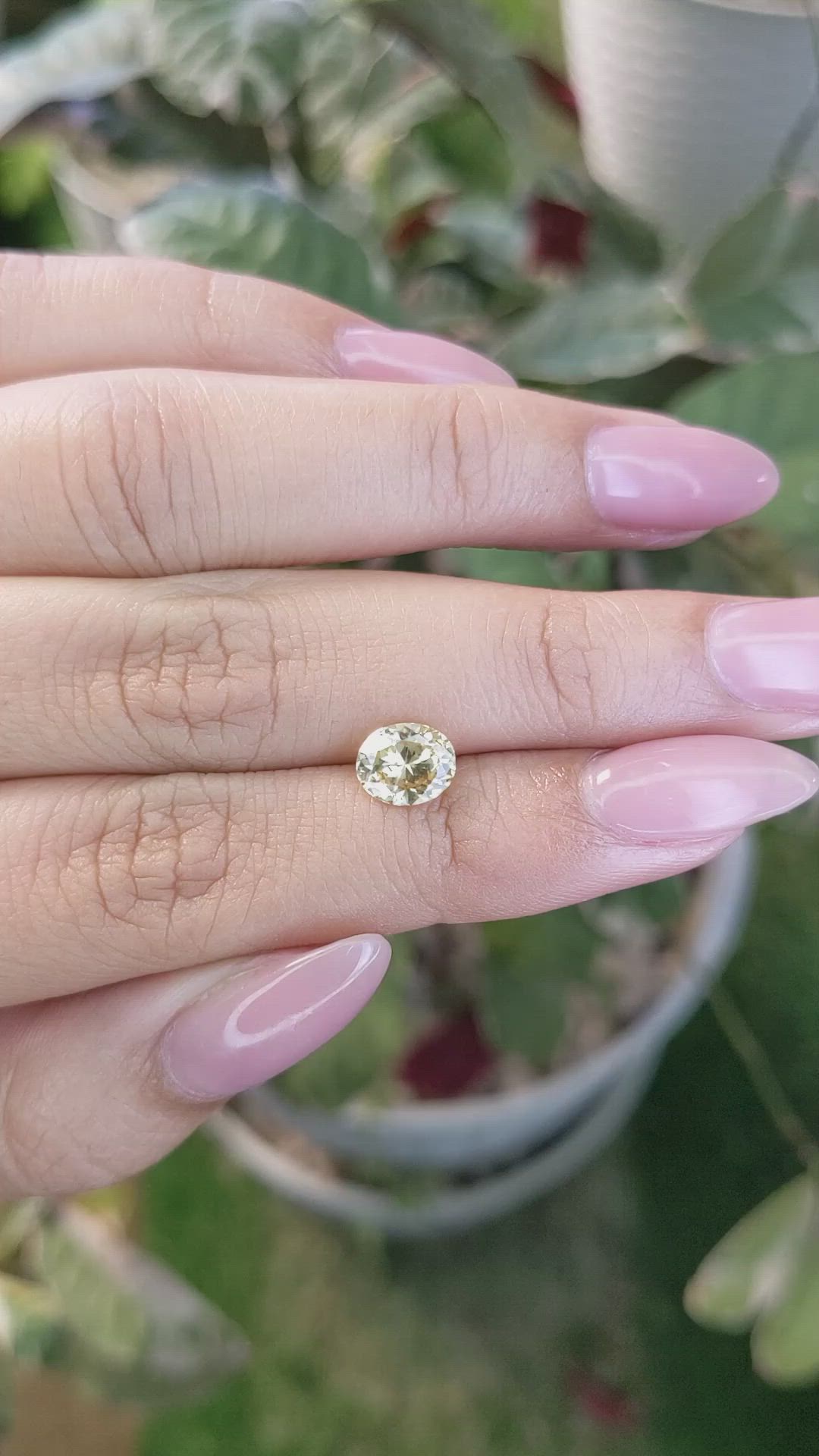 1.54 Ct. Yellow Sapphire from Ceylon (Sri Lanka) Size Video