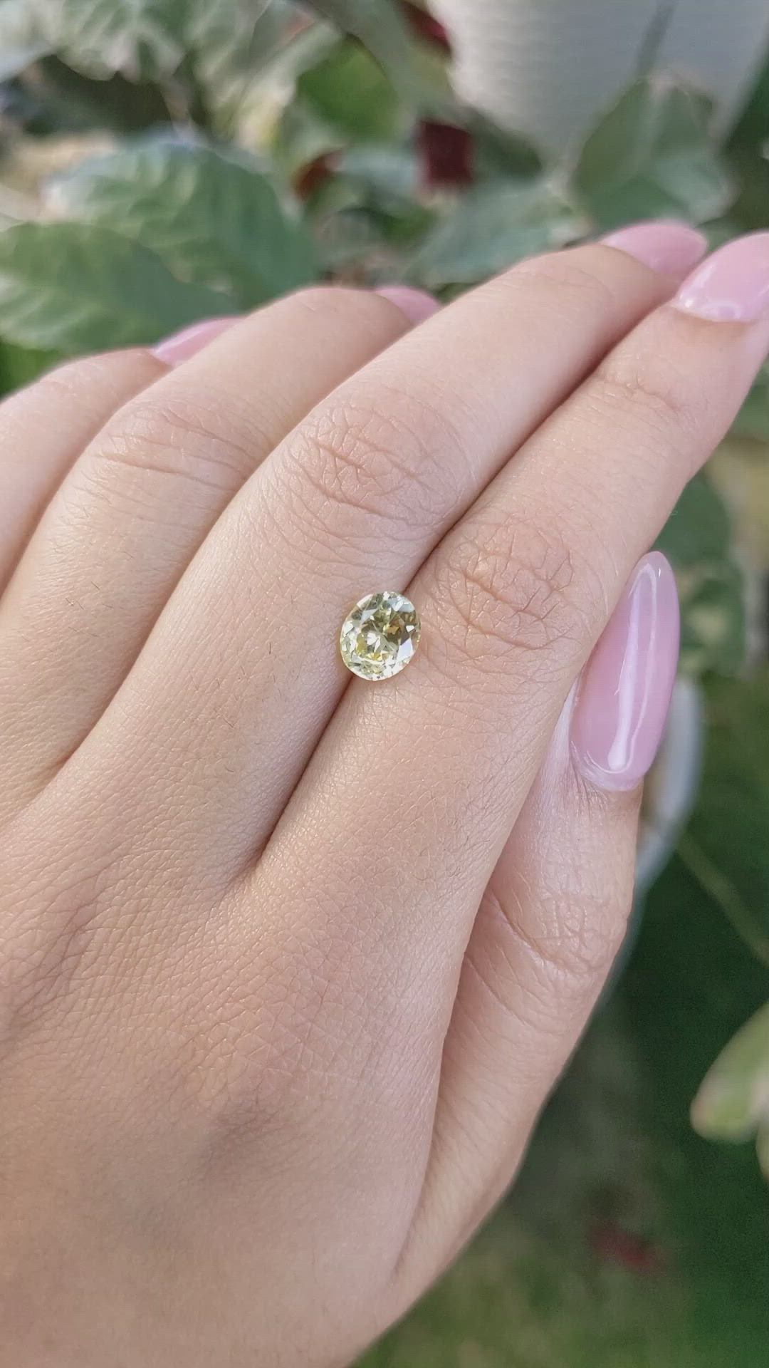 1.54 Ct. Yellow Sapphire from Ceylon (Sri Lanka) Size Video