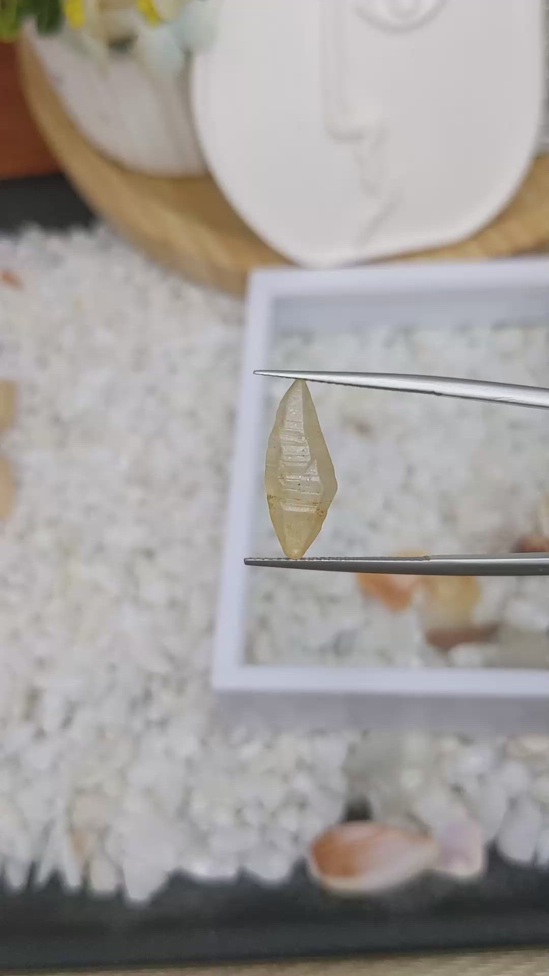 7.37 Ct. Yellow Rough Sapphire from Ceylon (Sri Lanka) Size Video