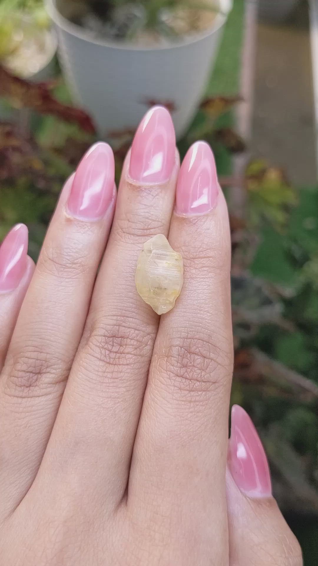 12.88 Ct. Yellow Rough Sapphire from Ceylon (Sri Lanka) Size Video