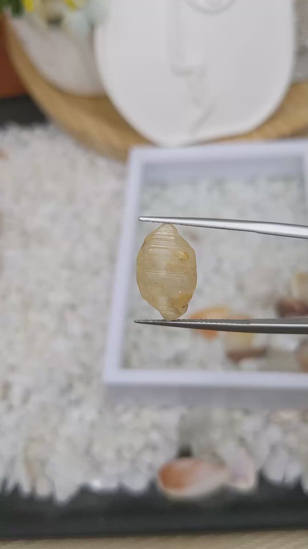 12.88 Ct. Yellow Rough Sapphire from Ceylon (Sri Lanka) Size Video