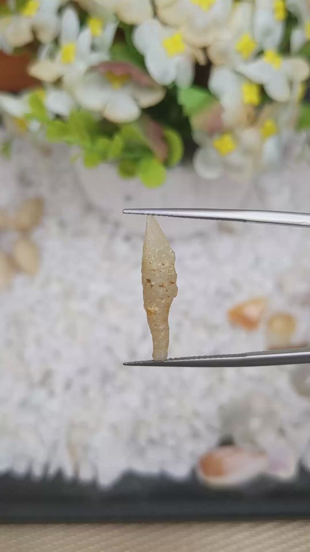 5.59 Ct. Yellow Rough Sapphire from Ceylon (Sri Lanka) Size Video