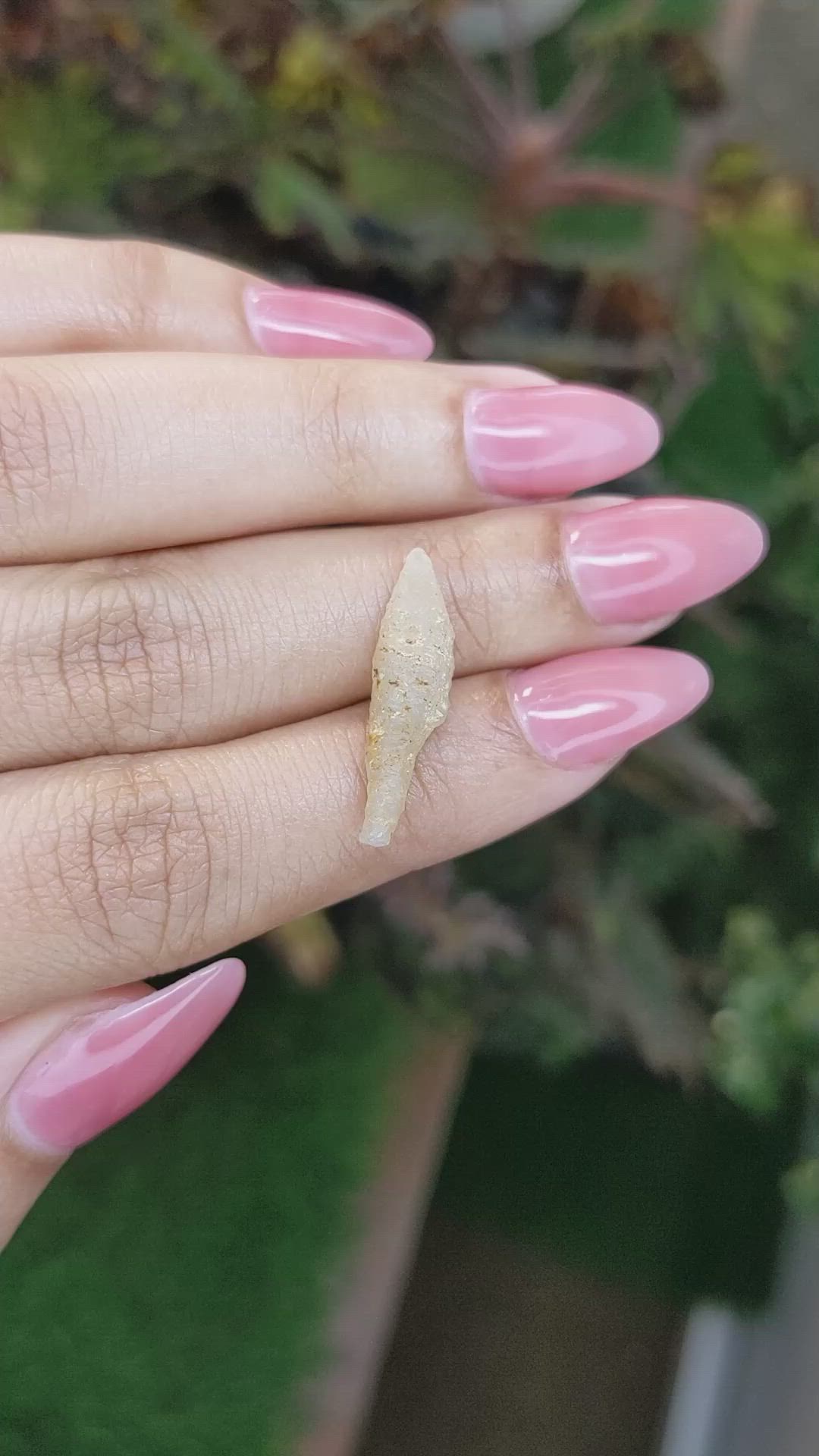 5.59 Ct. Yellow Rough Sapphire from Ceylon (Sri Lanka) Size Video