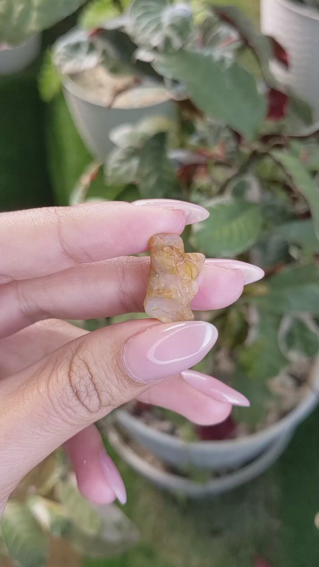 18.02 Ct. Yellowish Brown Rough Sapphire from Ceylon (Sri Lanka) Size Video