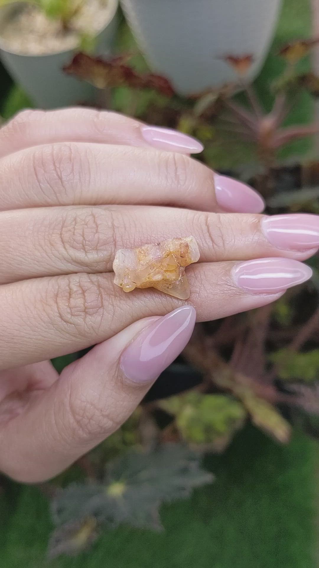 18.02 Ct. Yellowish Brown Rough Sapphire from Ceylon (Sri Lanka) Size Video