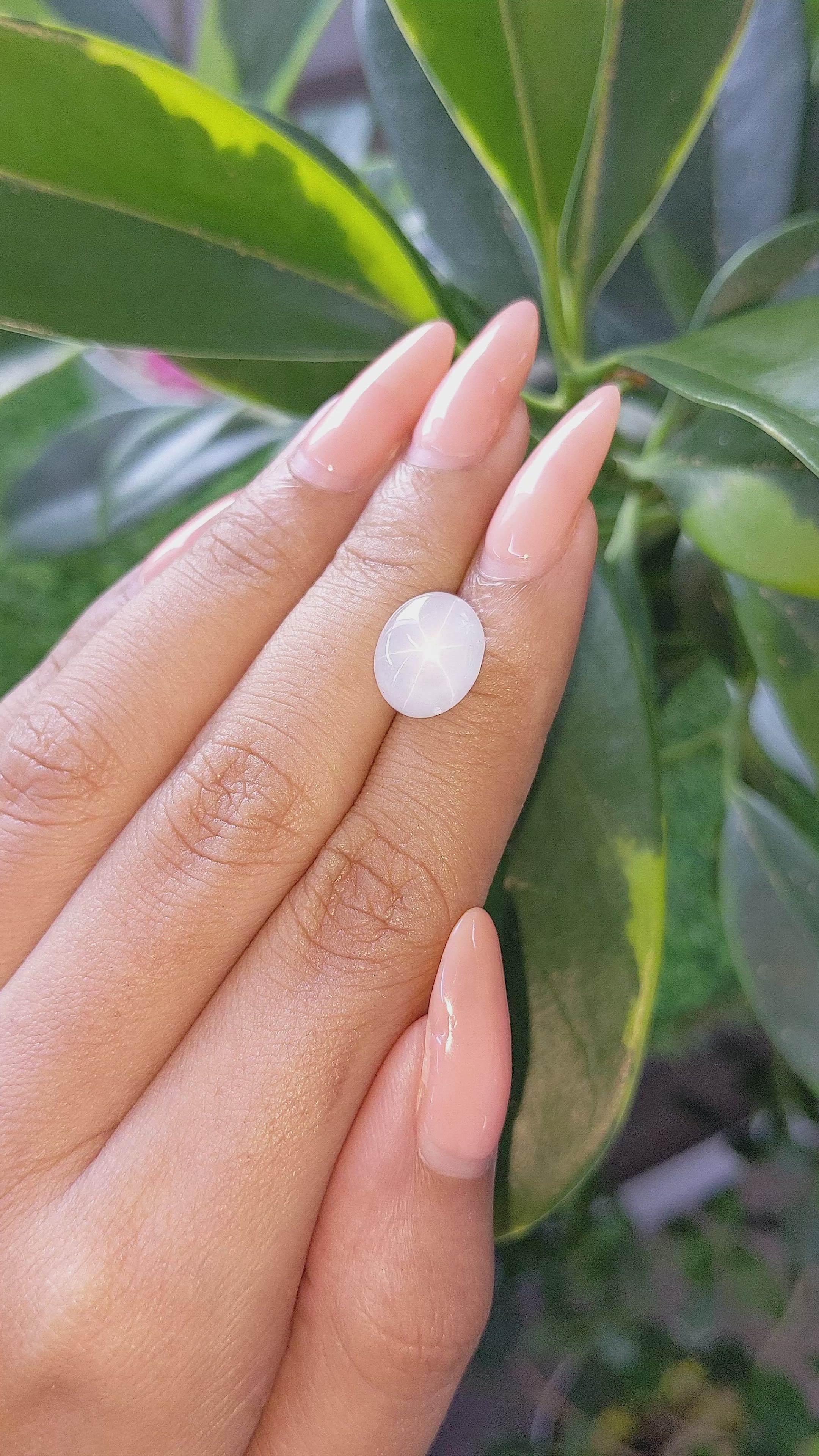 9.49 Ct. White Star Sapphire from Ceylon (Sri Lanka) Size Video