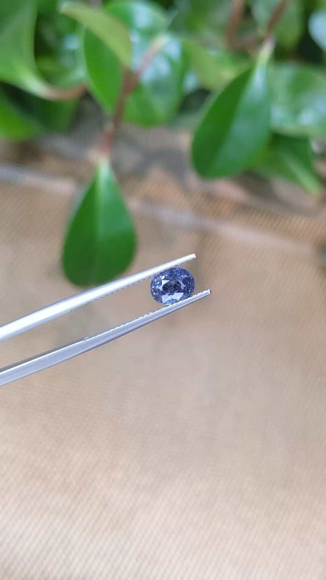 1.44 Ct. Blue Sapphire from Ceylon (Sri Lanka) Size Video
