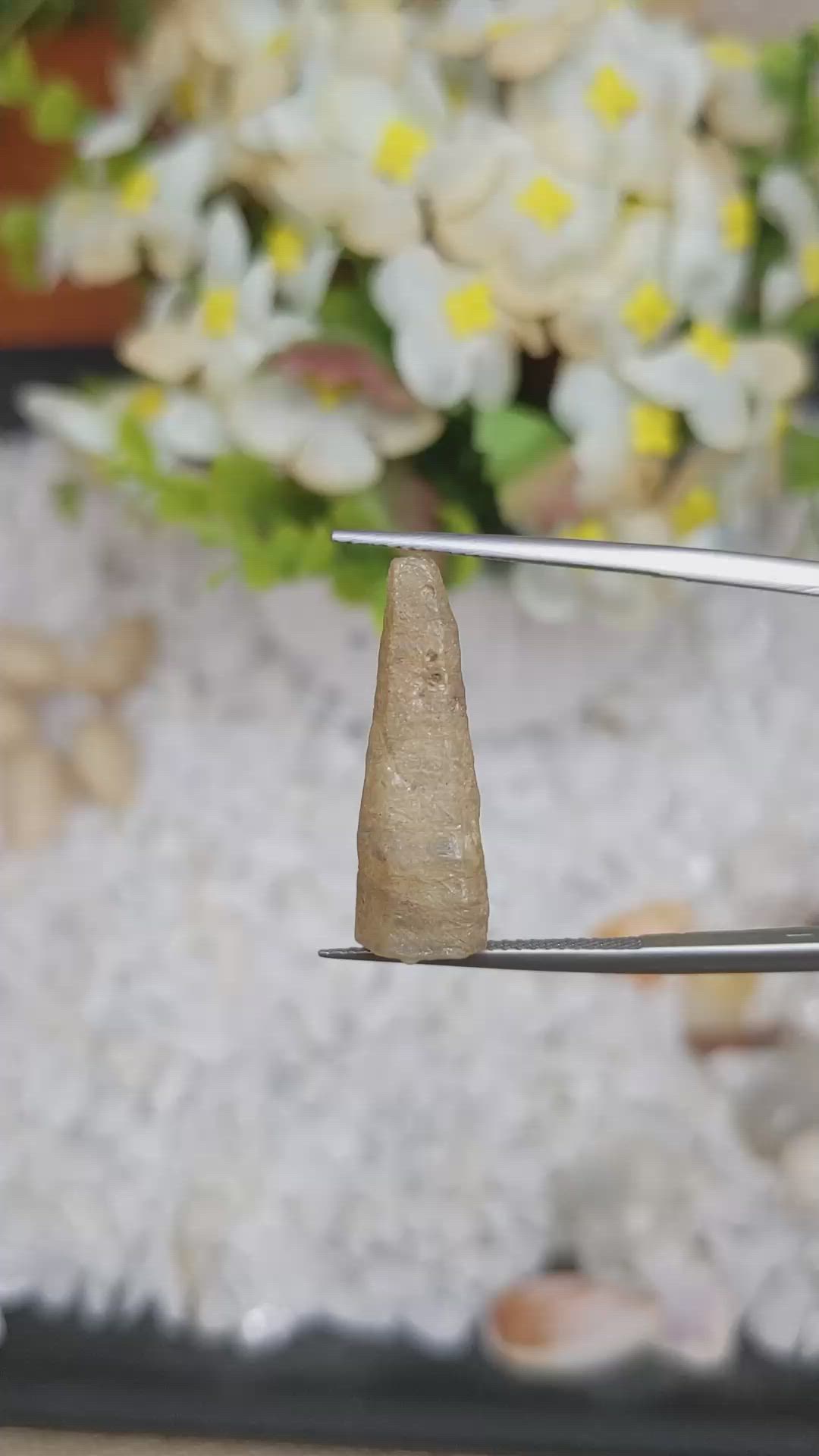 11.90 Ct. Yellow Rough Sapphire Crystal from Ceylon (Sri Lanka) Size Video