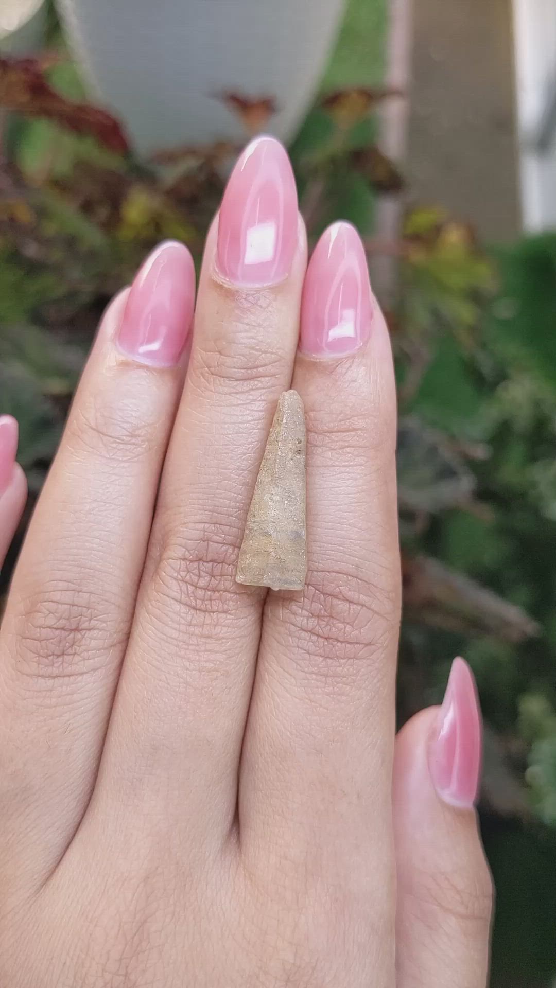 11.90 Ct. Yellow Rough Sapphire Crystal from Ceylon (Sri Lanka) Size Video