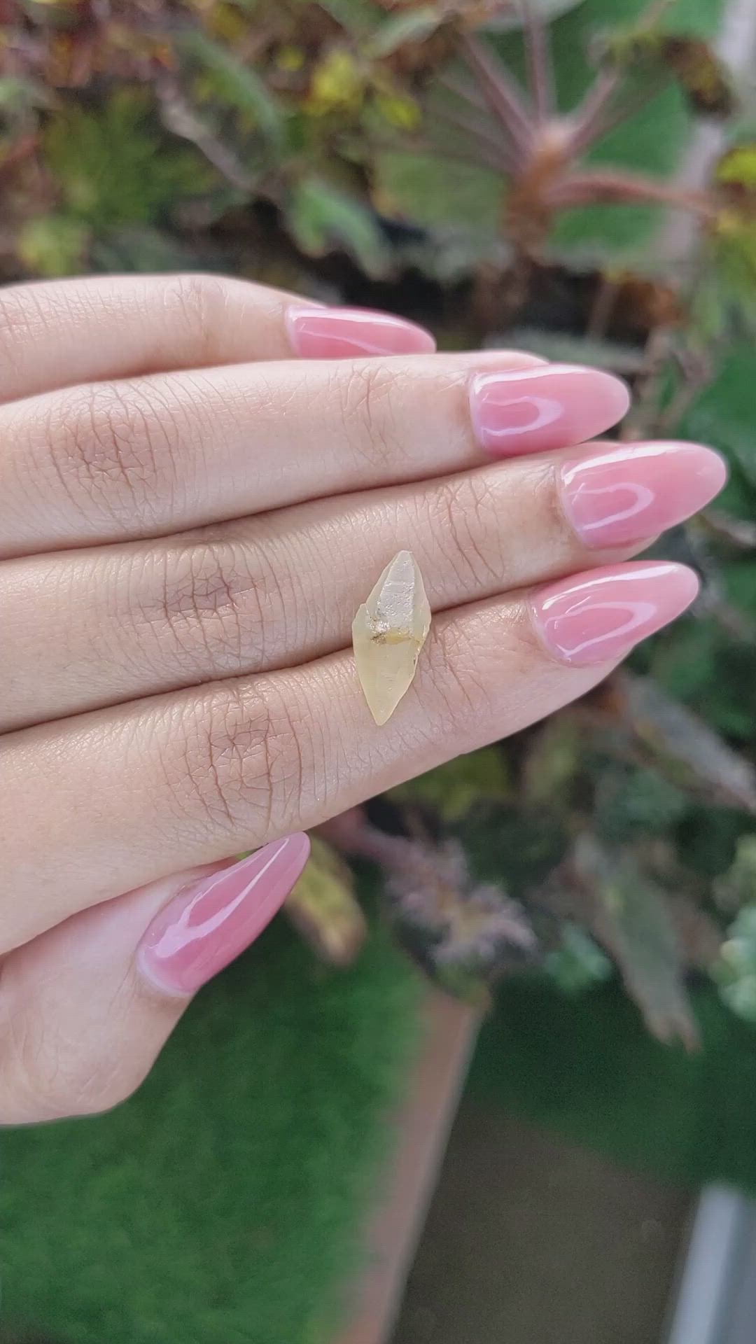 5.90 Ct. Yellow Rough Sapphire Crystal from Ceylon (Sri Lanka) Size Video