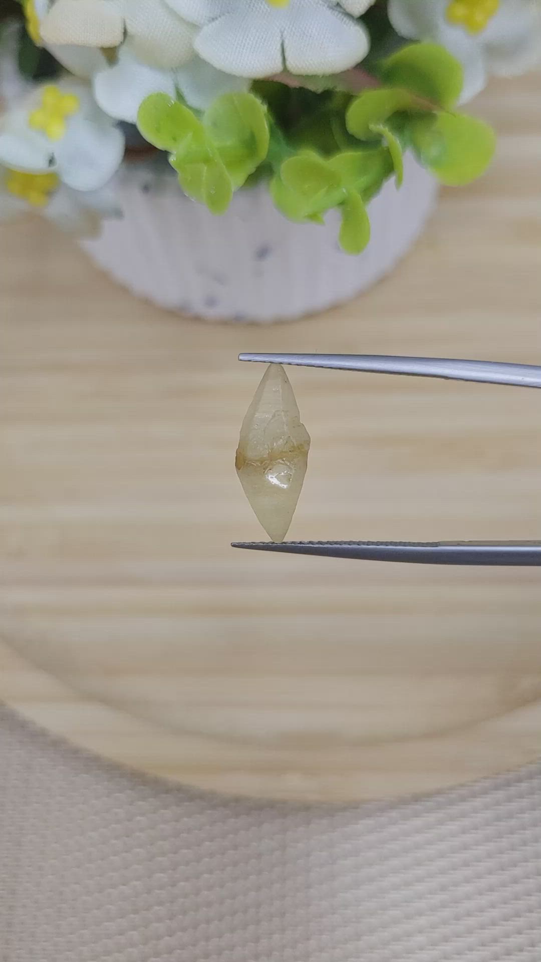 5.90 Ct. Yellow Rough Sapphire Crystal from Ceylon (Sri Lanka) Size Video