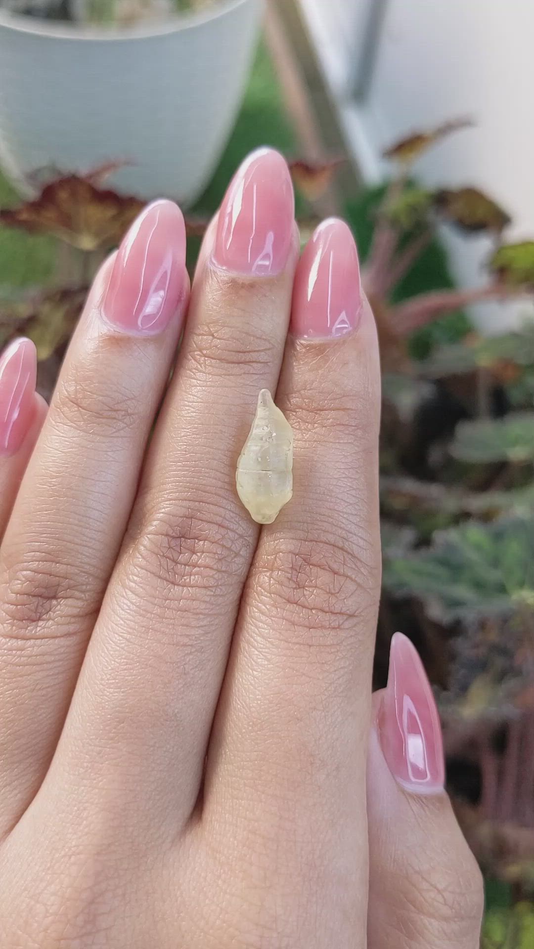 5.38 Ct. Yellow Rough Sapphire from Ceylon (Sri Lanka) Size Video