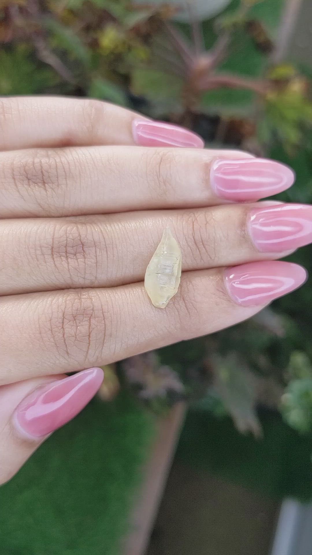 5.38 Ct. Yellow Rough Sapphire from Ceylon (Sri Lanka) Size Video