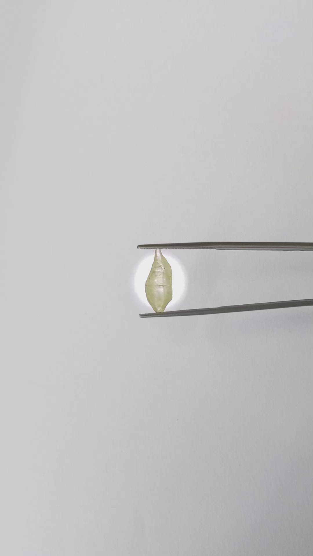 5.38 Ct. Yellow Rough Sapphire from Ceylon (Sri Lanka) Size Video