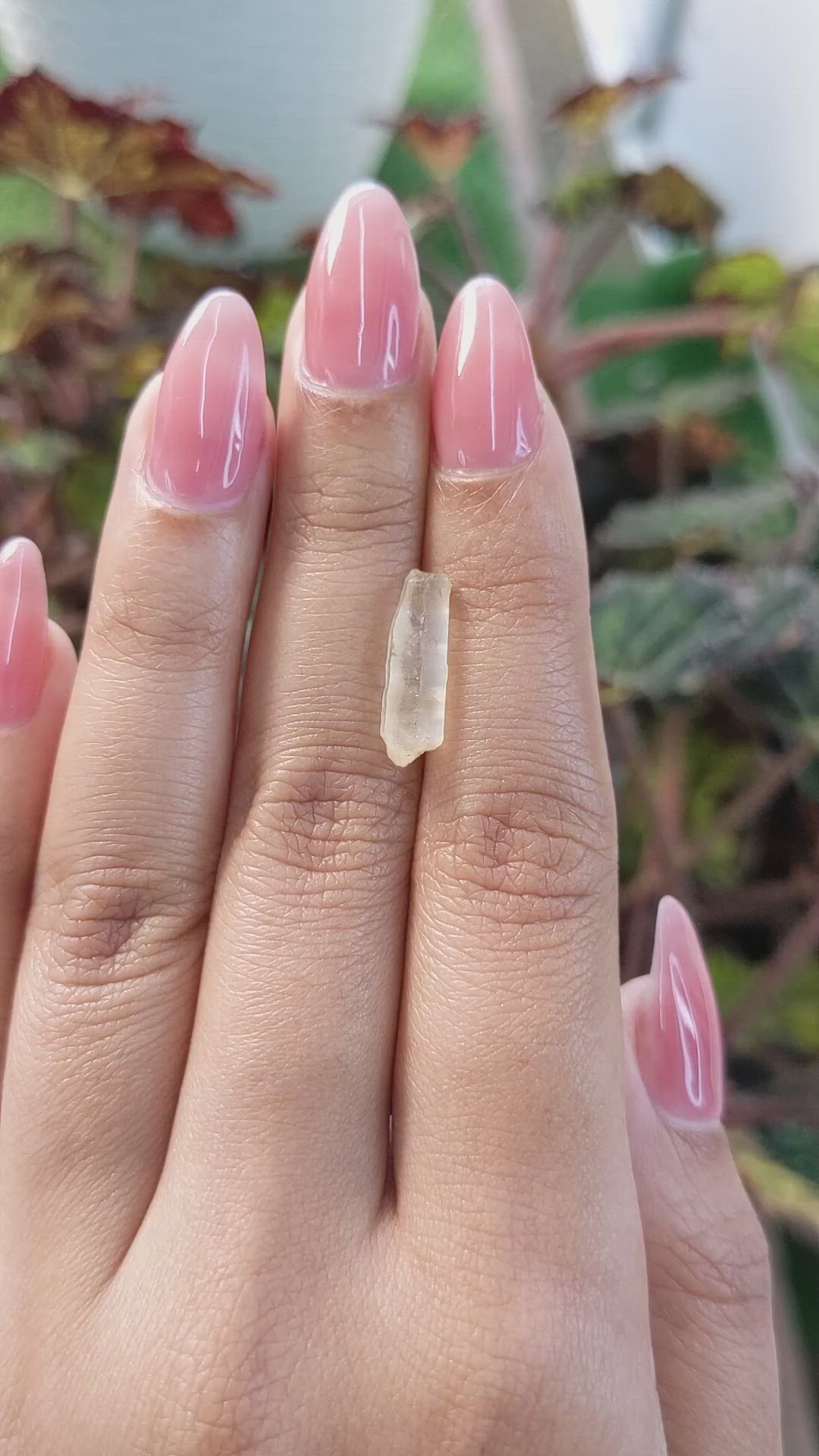 2.63 Ct. Yellow Rough Sapphire from Ceylon (Sri Lanka) Size Video