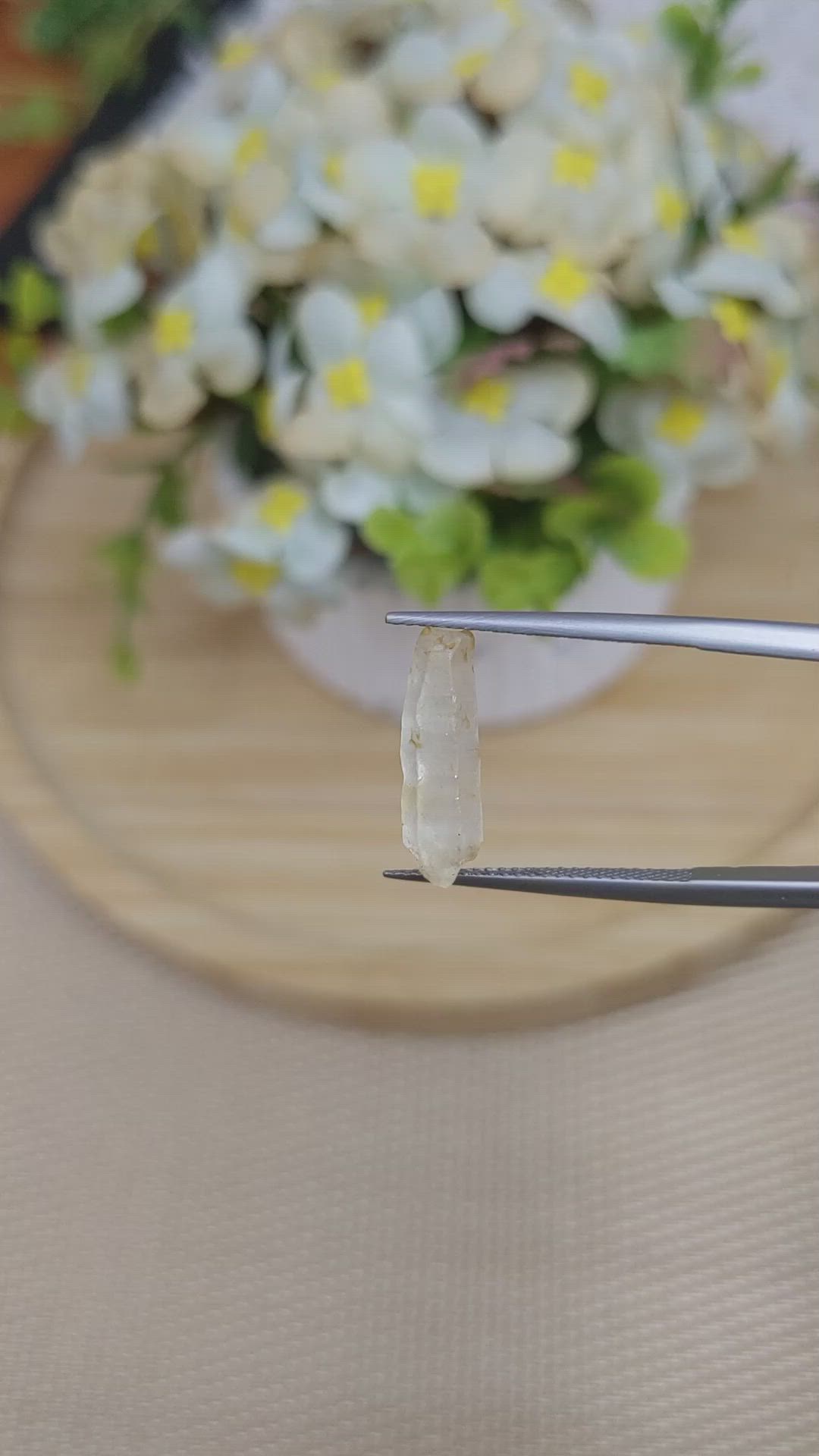 2.63 Ct. Yellow Rough Sapphire from Ceylon (Sri Lanka) Size Video