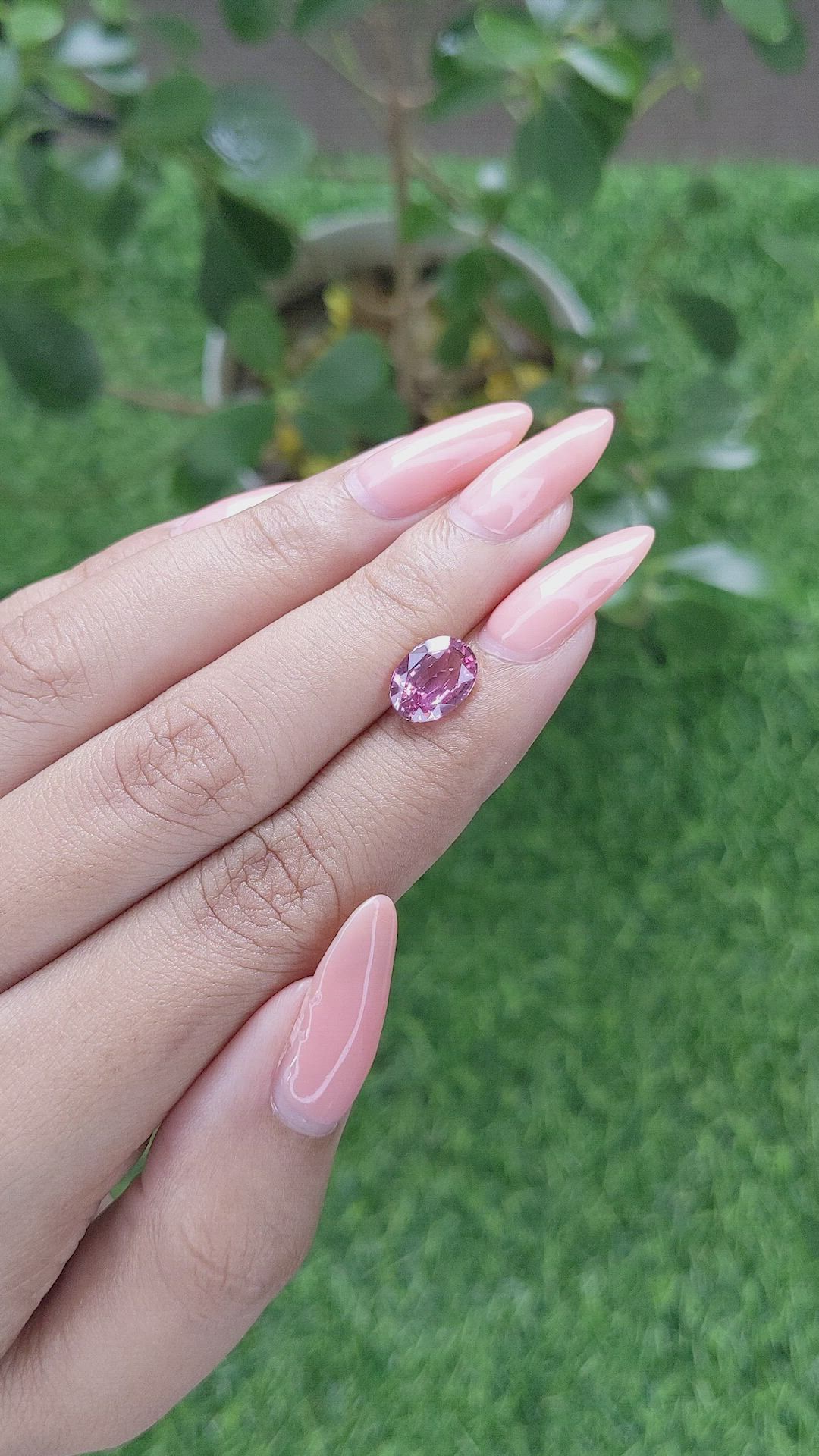 2.55 Ct. Pink Sapphire from Ceylon (Sri Lanka) Size Video