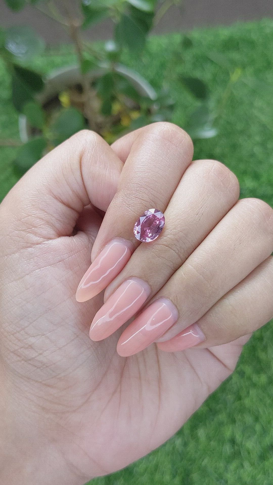 2.55 Ct. Pink Sapphire from Ceylon (Sri Lanka) Size Video