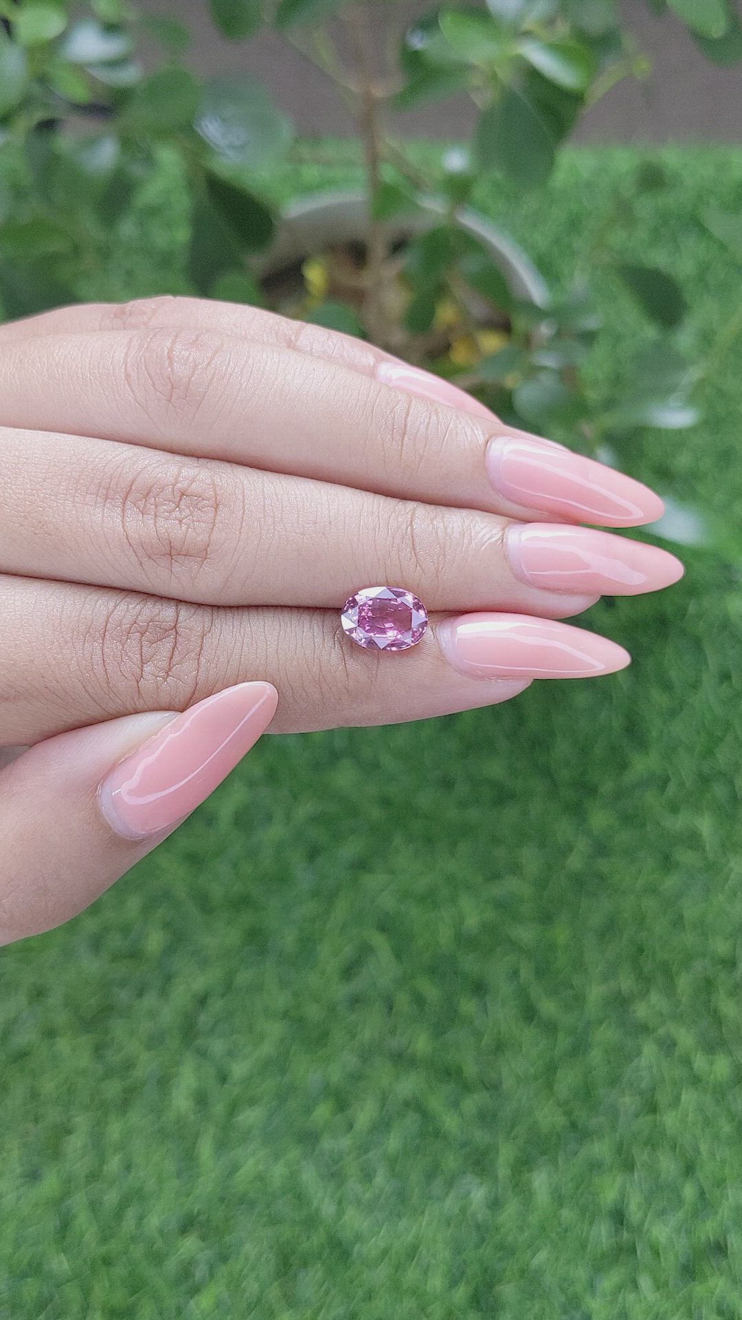 2.55 Ct. Pink Sapphire from Ceylon (Sri Lanka) Size Video