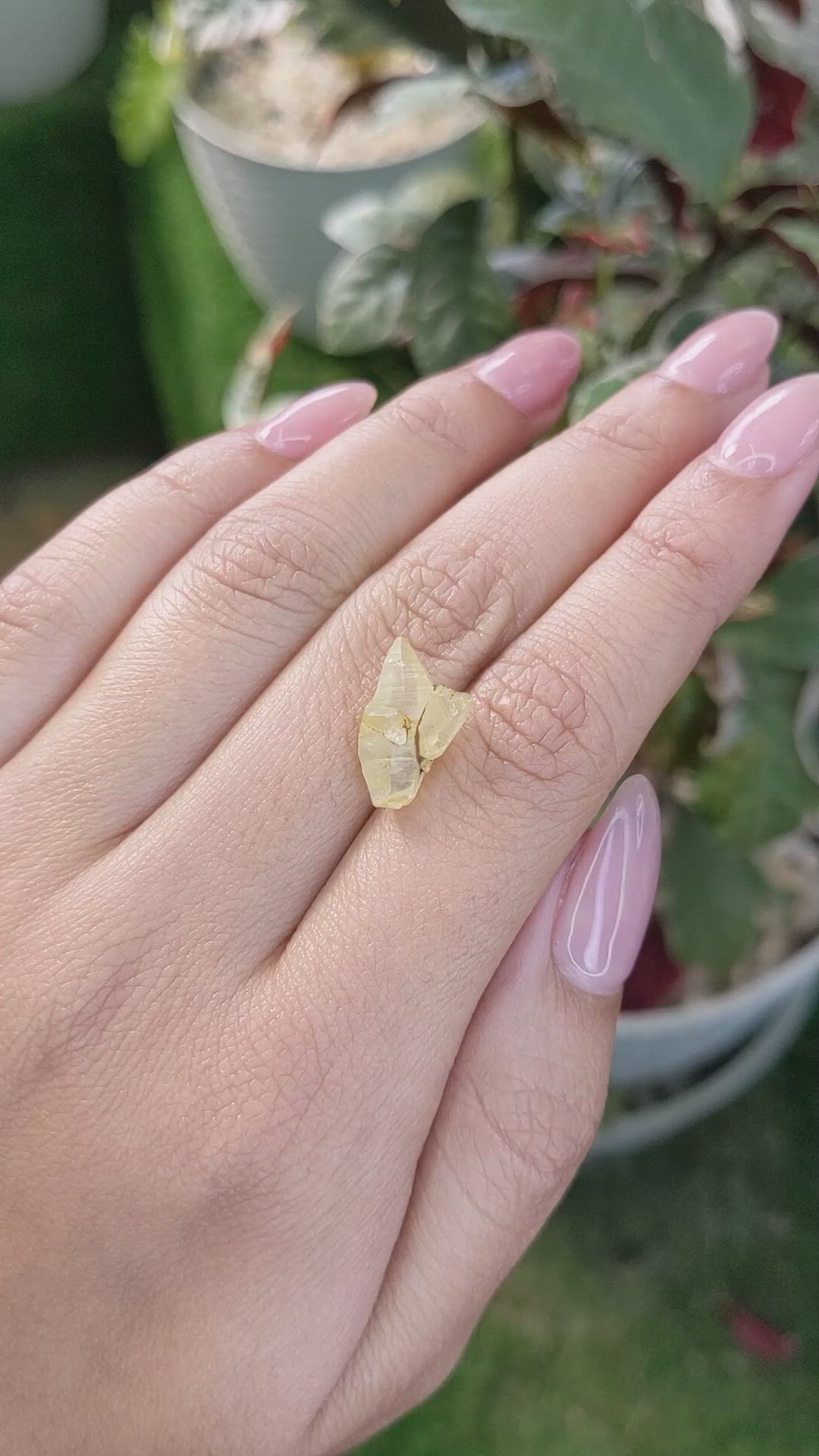 6.70 Ct. Yellow Rough Sapphire from Ceylon (Sri Lanka) Size Video