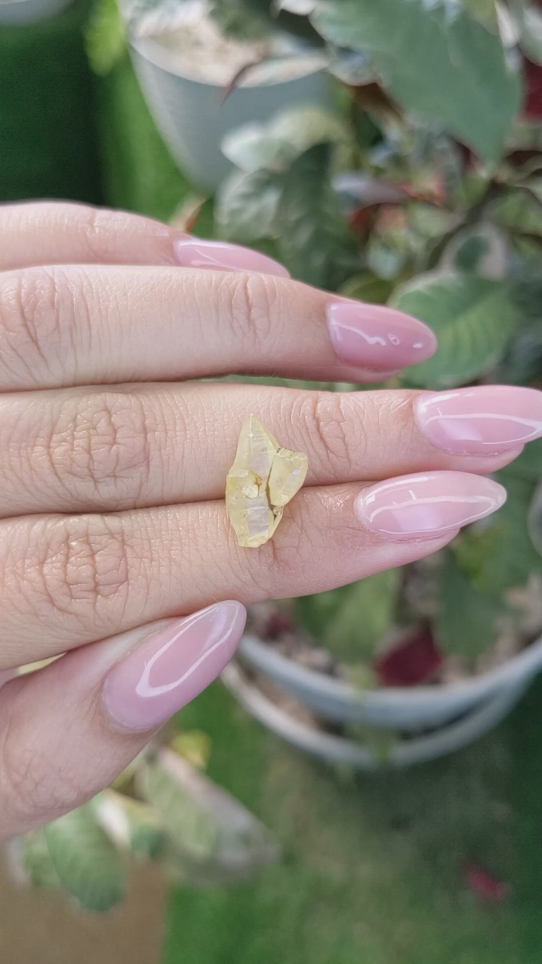 6.70 Ct. Yellow Rough Sapphire from Ceylon (Sri Lanka) Size Video