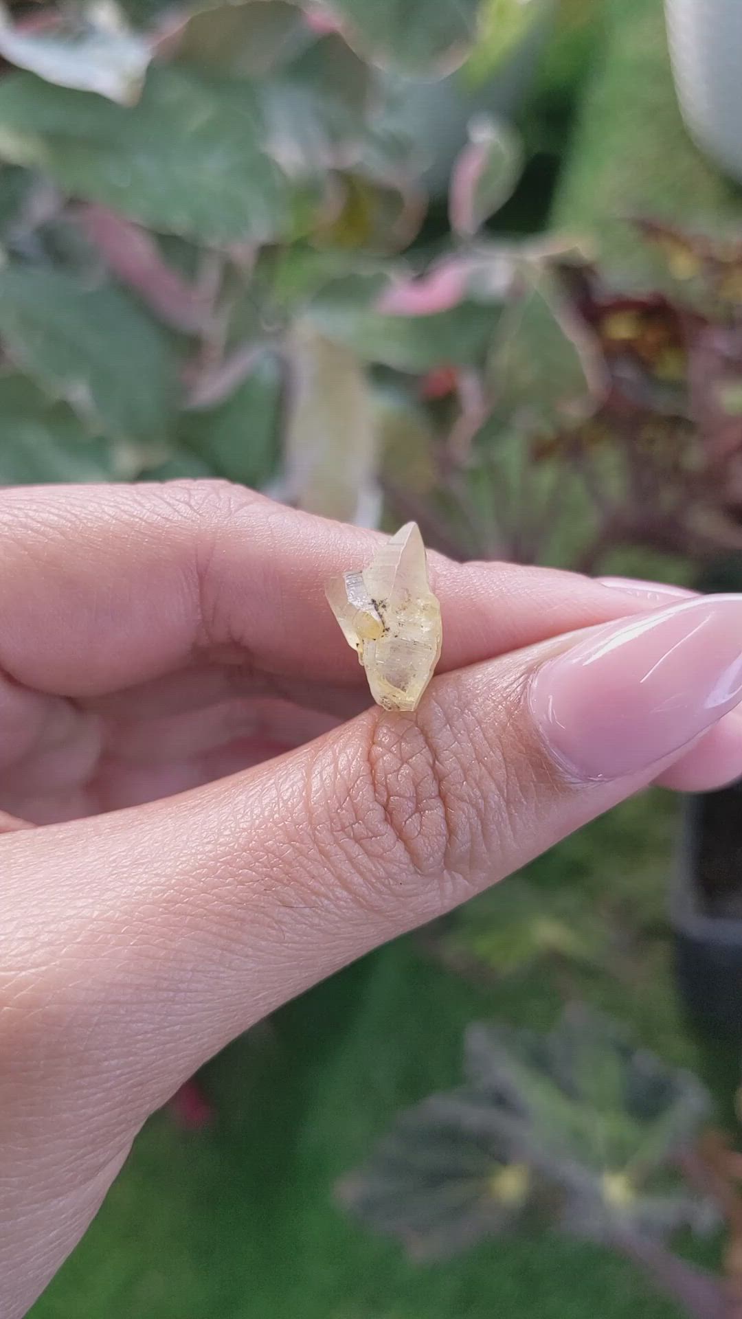 6.70 Ct. Yellow Rough Sapphire from Ceylon (Sri Lanka) Size Video