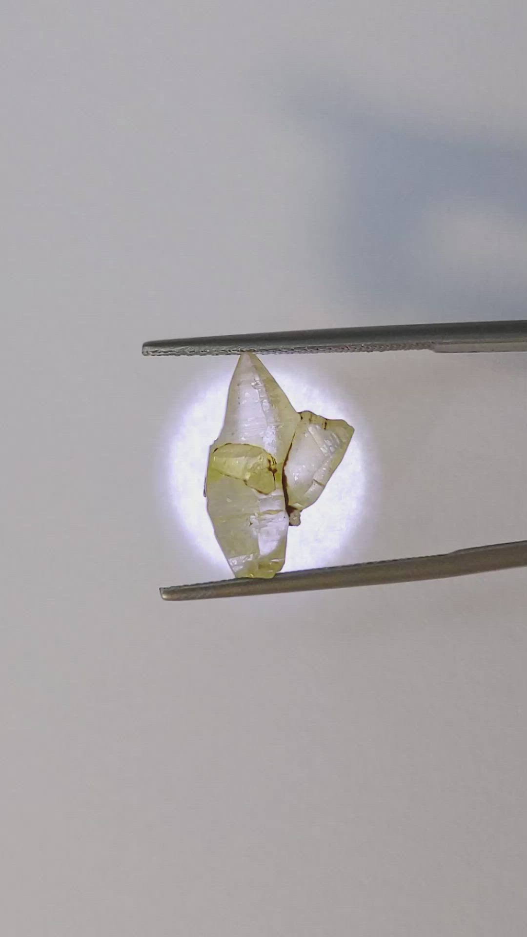 6.70 Ct. Yellow Rough Sapphire from Ceylon (Sri Lanka) Size Video