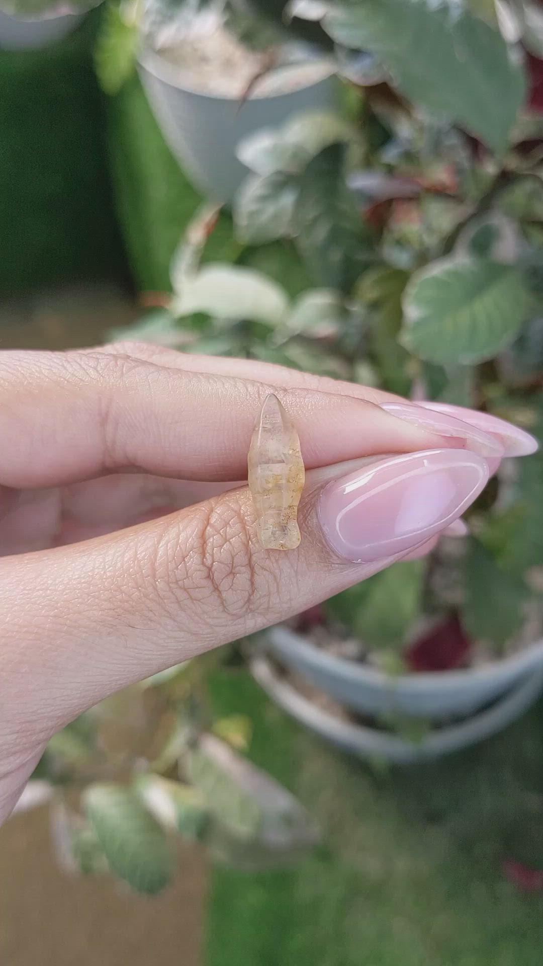 6.58 Ct. Yellowish Brown Rough Sapphire from Ceylon (Sri Lanka) Size Video