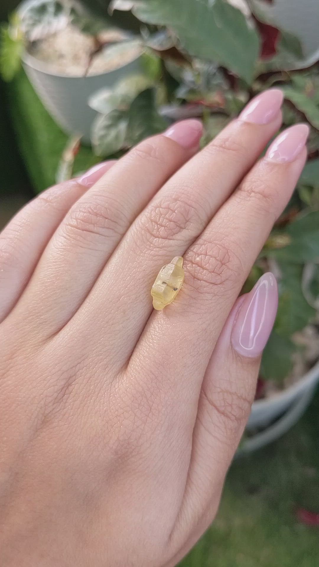 5.31 Ct. Yellow Rough Sapphire Crystal from Ceylon (Sri Lanka) Size Video