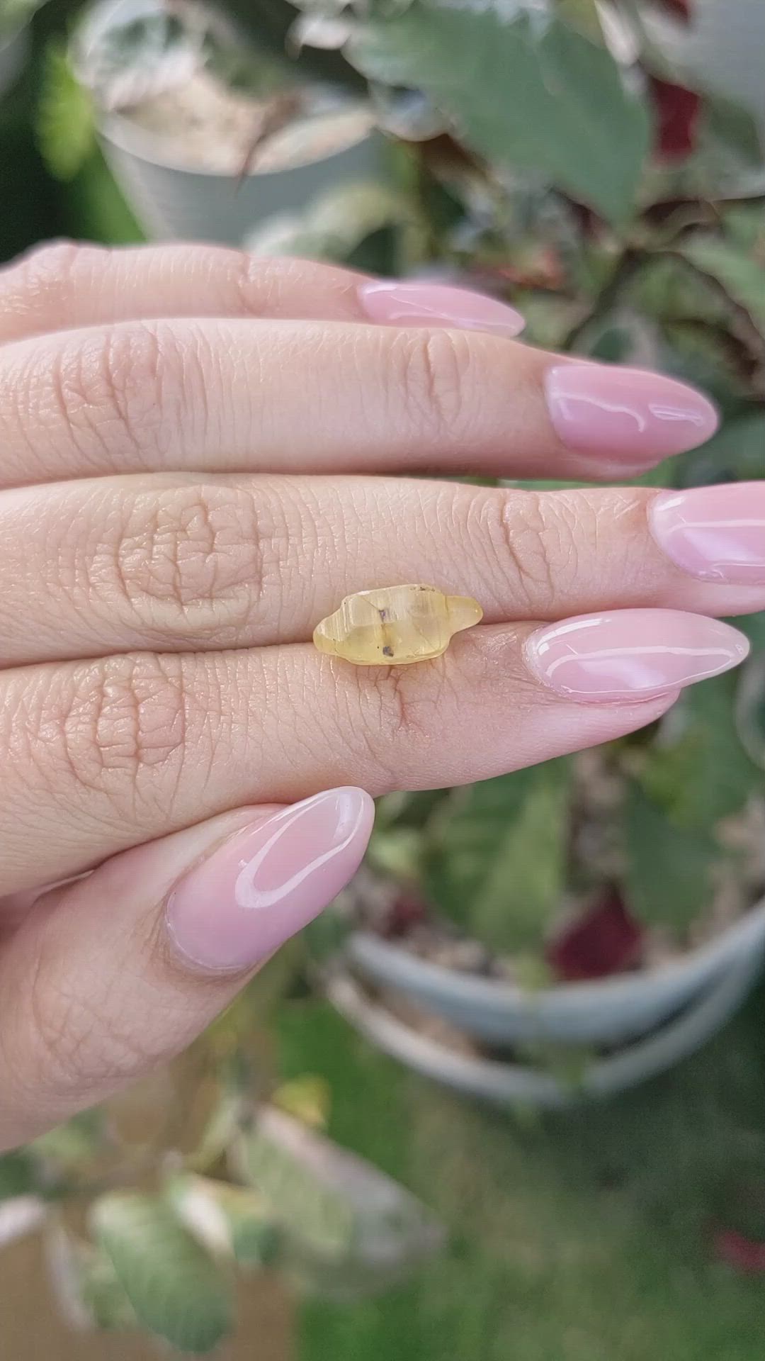 5.31 Ct. Yellow Rough Sapphire Crystal from Ceylon (Sri Lanka) Size Video