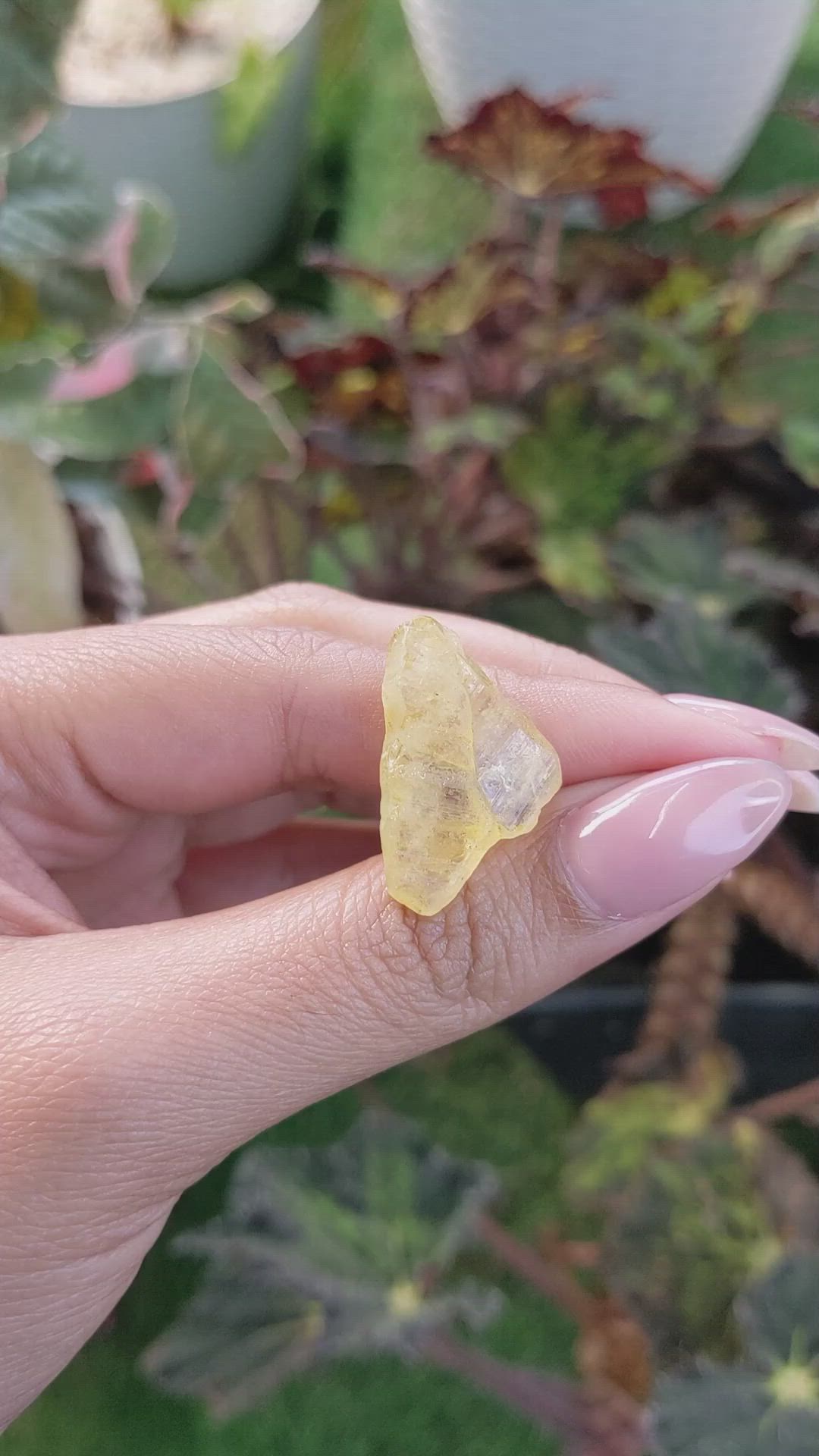 21.70 Ct. Yellow Sapphire Crystal from Ceylon (Sri Lanka) Size Video