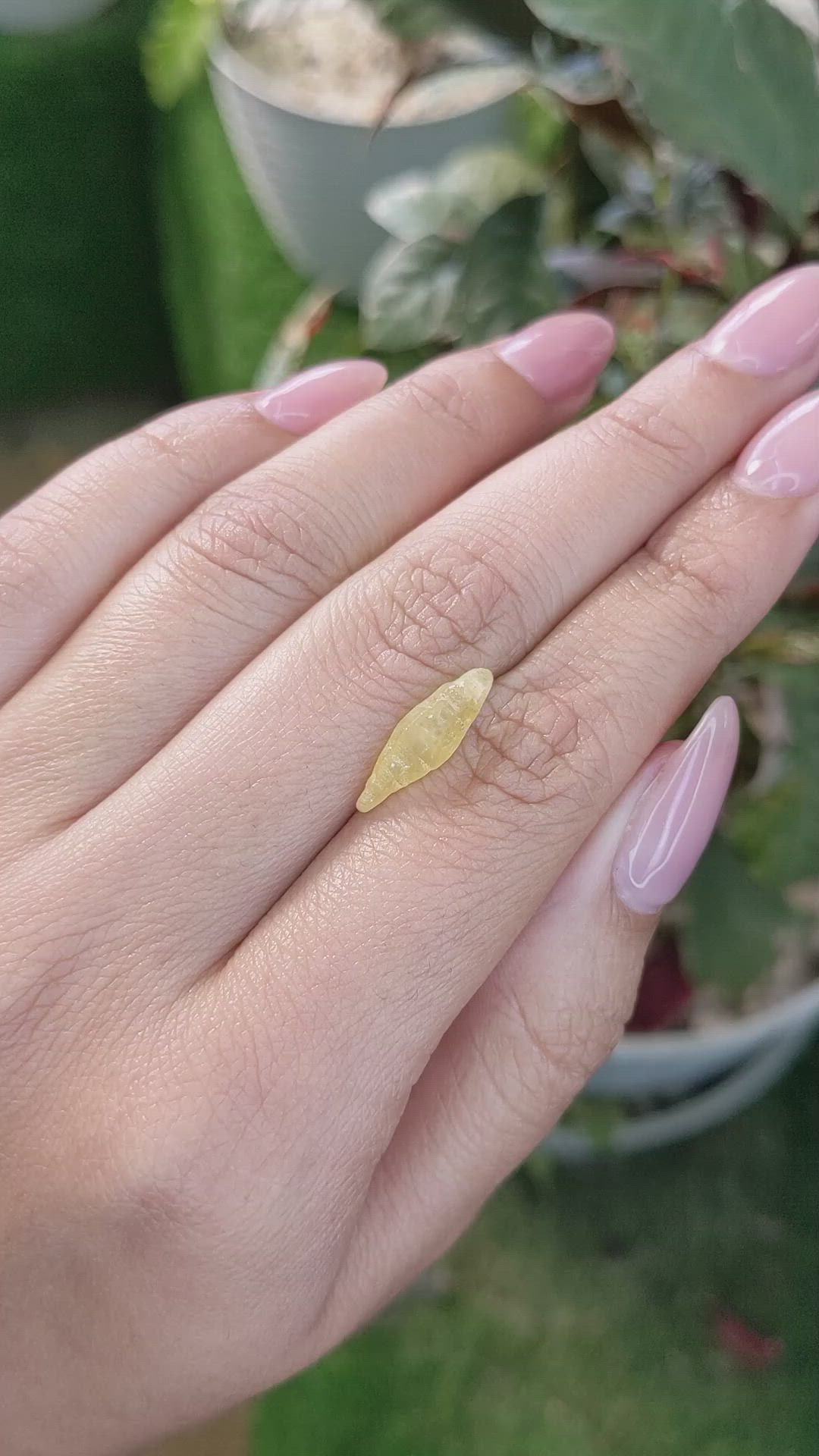 2.90 Ct. Yellow Rough Sapphire Crystal from Ceylon (Sri Lanka) Size Video