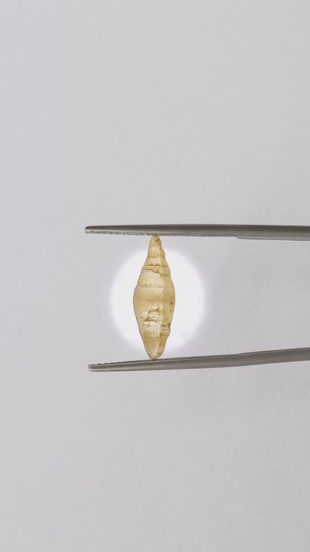 2.90 Ct. Yellow Rough Sapphire Crystal from Ceylon (Sri Lanka) Size Video