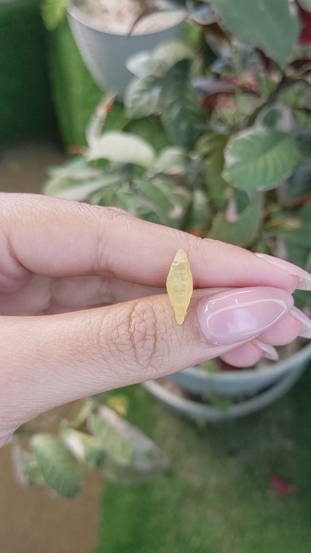 2.90 Ct. Yellow Rough Sapphire Crystal from Ceylon (Sri Lanka) Size Video