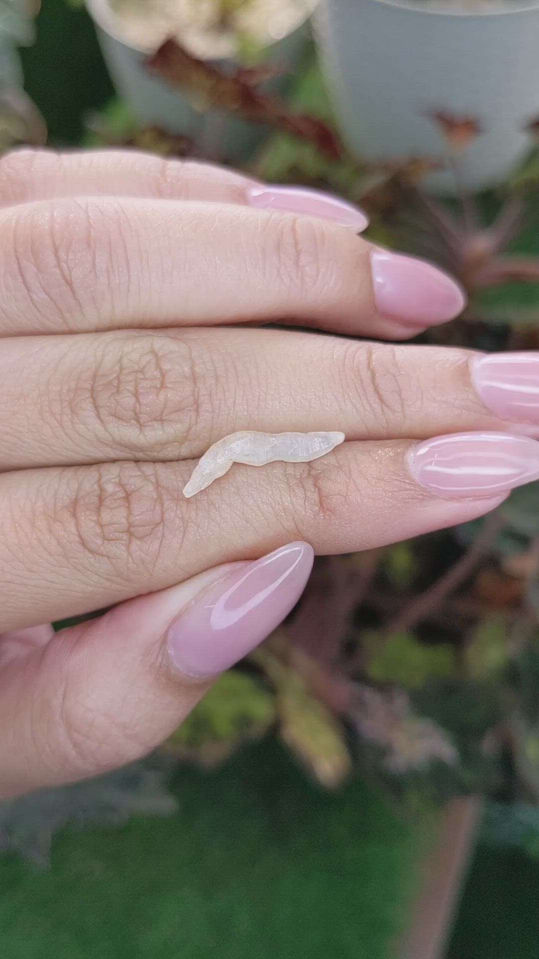 2.13 Ct. Yellow Rough Sapphire Crystal from Ceylon (Sri Lanka) Size Video