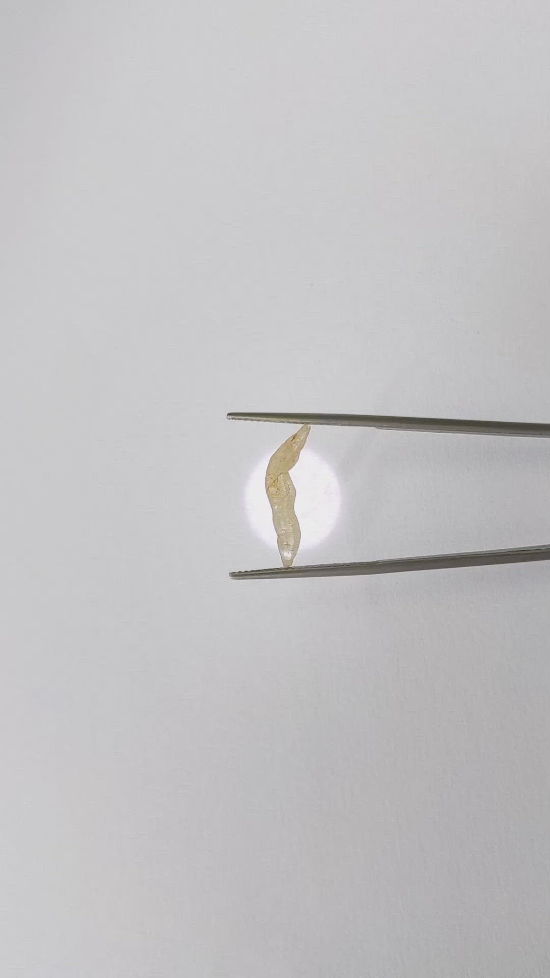 2.13 Ct. Yellow Rough Sapphire Crystal from Ceylon (Sri Lanka) Size Video