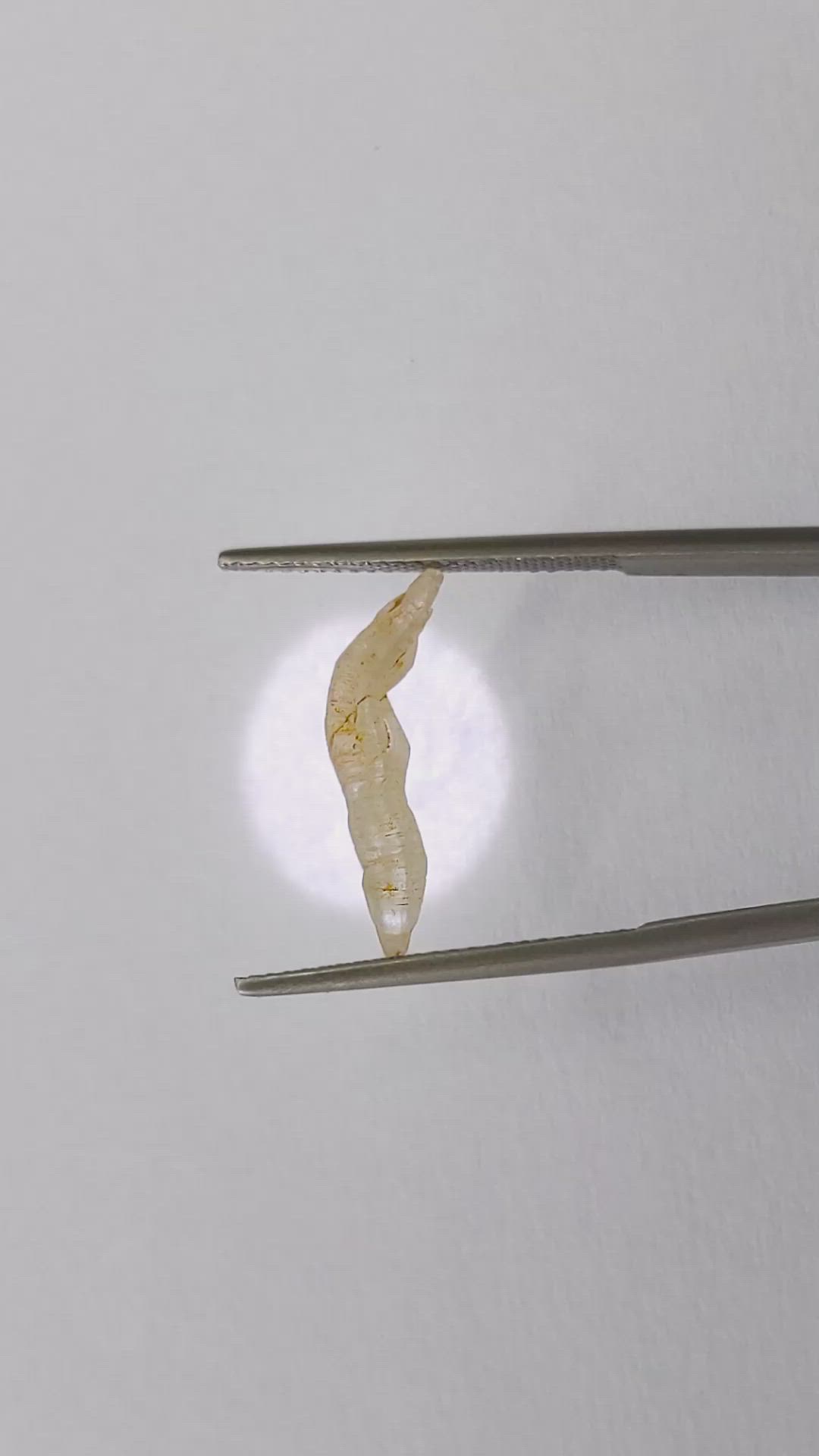 2.13 Ct. Yellow Rough Sapphire Crystal from Ceylon (Sri Lanka) Size Video