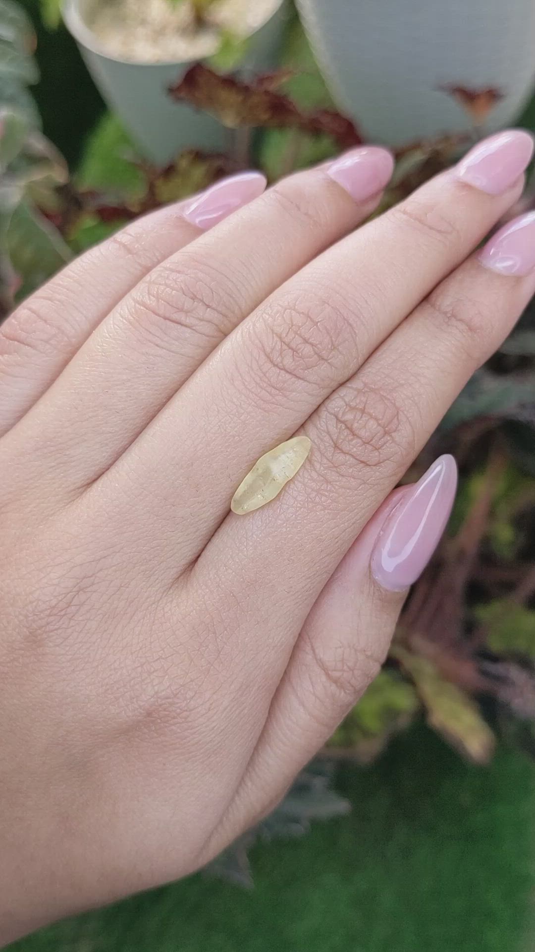 2.14 Ct. Yellow Sapphire Crystal from Ceylon (Sri Lanka) Size Video